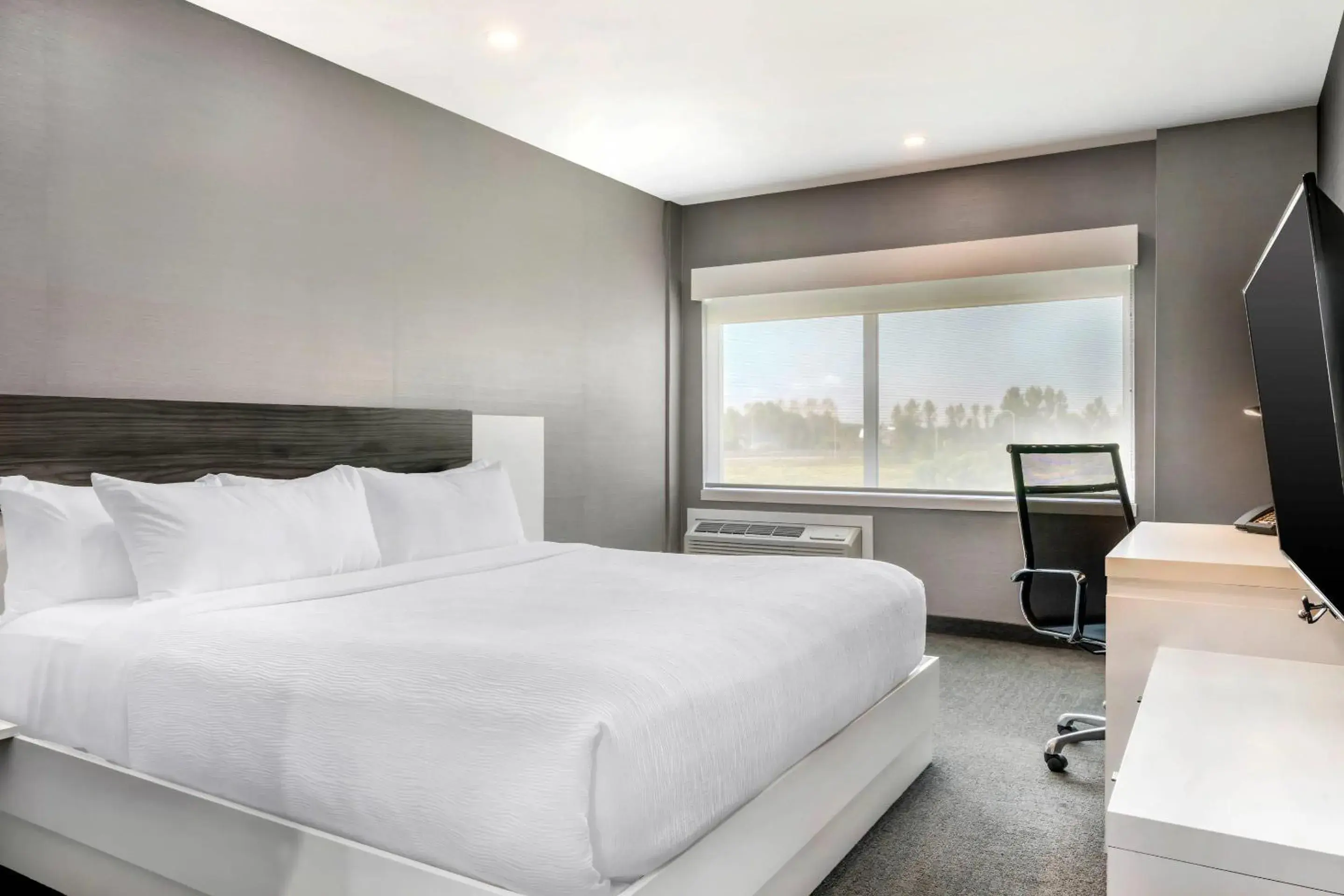 King Suite with Sofa Bed - Non-Smoking in Quality Inn & Suites King Suite with Sofa Bed - Non-Smoking in Quality Inn & Suites