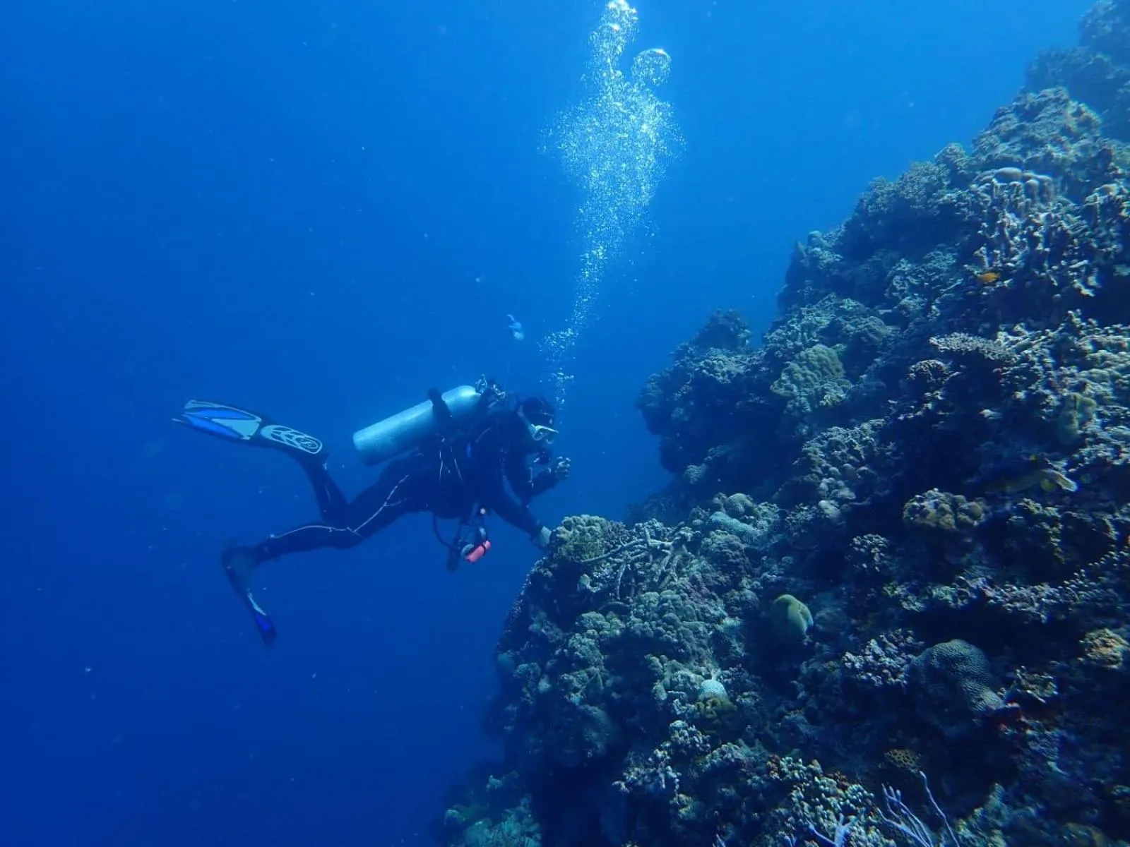 Love's Beach & Dive Resort