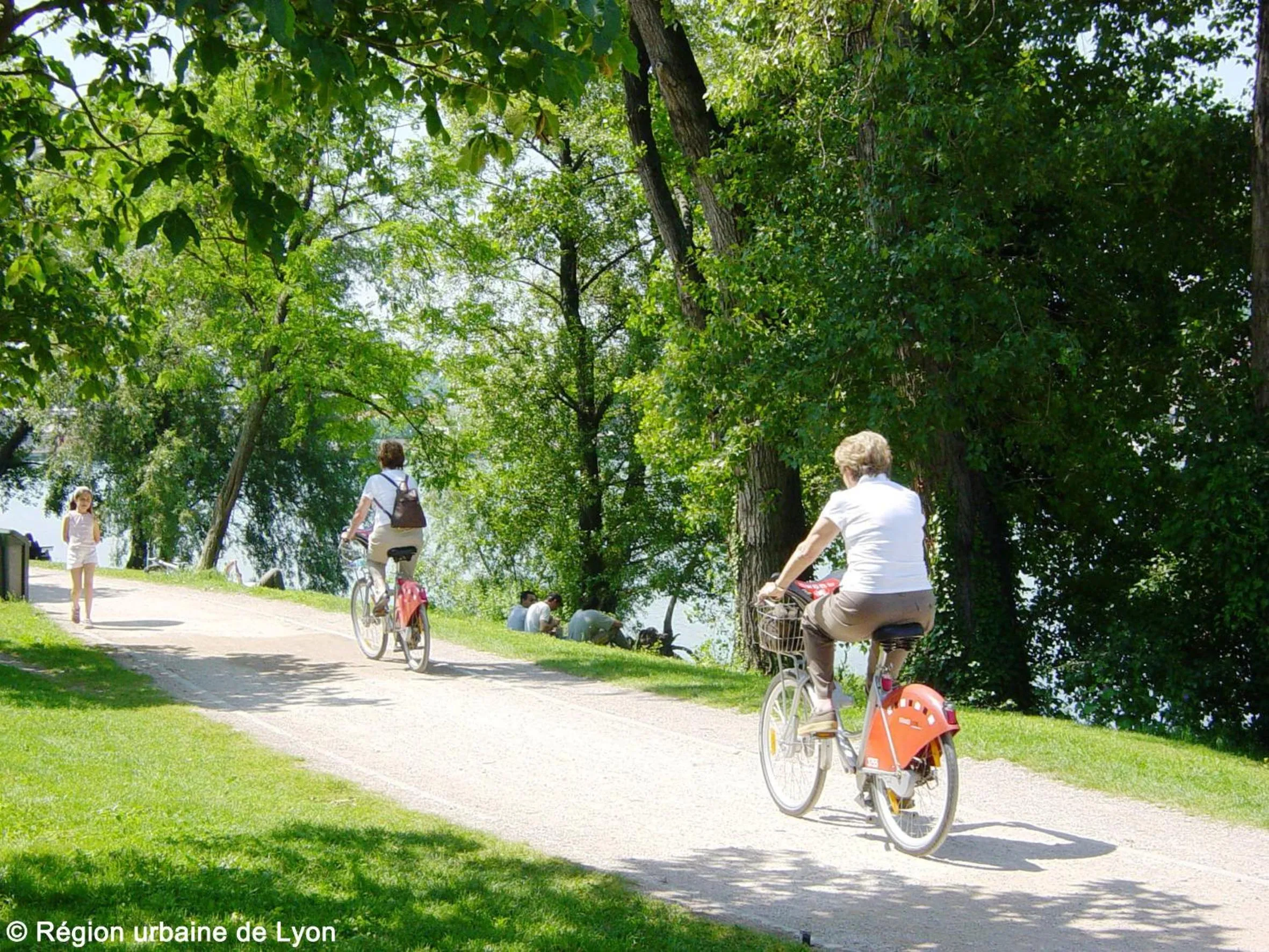 Area and facilities in Hotel des Congrès