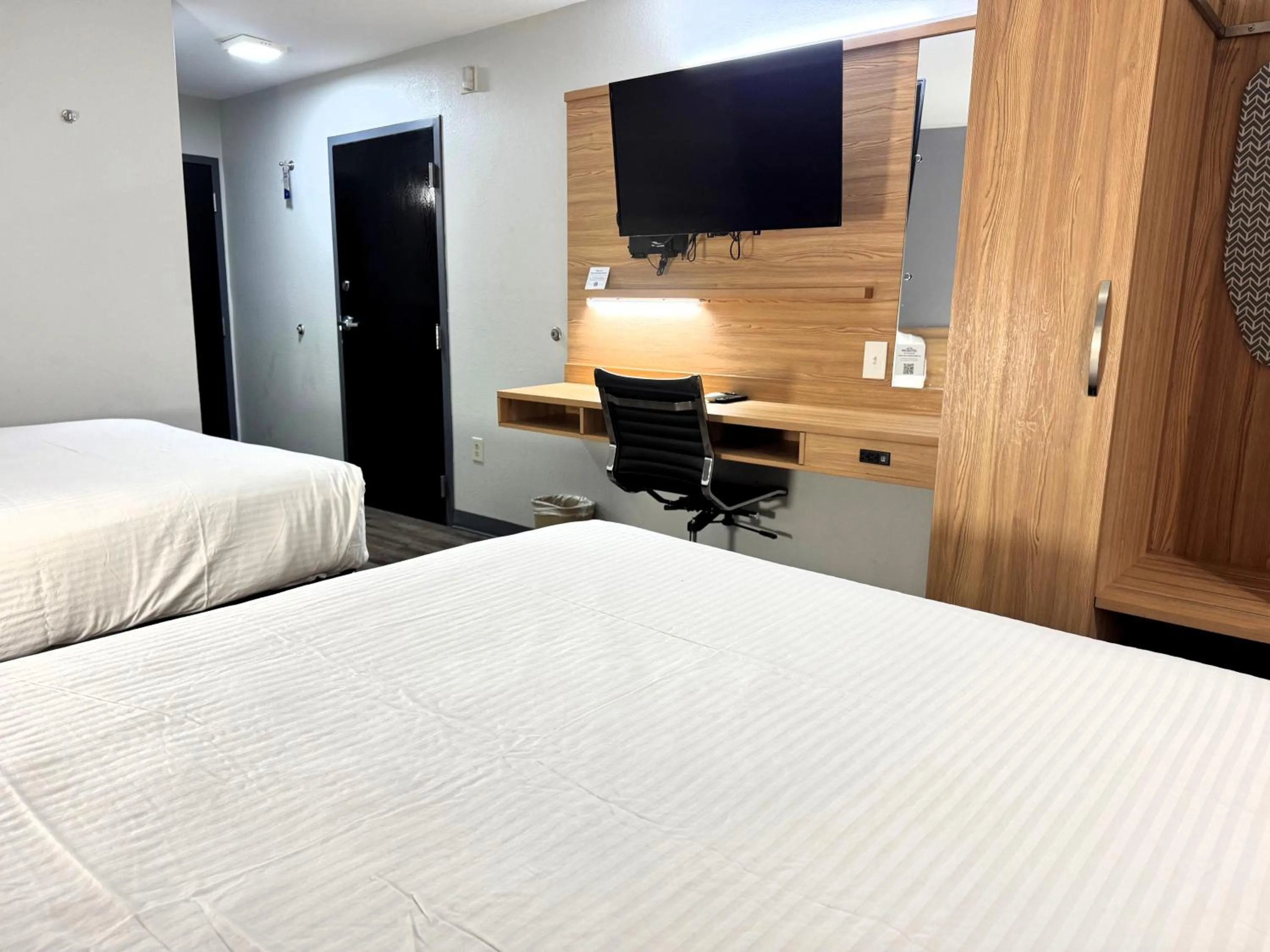 TV and multimedia, Bed in Microtel Inn & Suites by Wyndham Tuscaloosa East