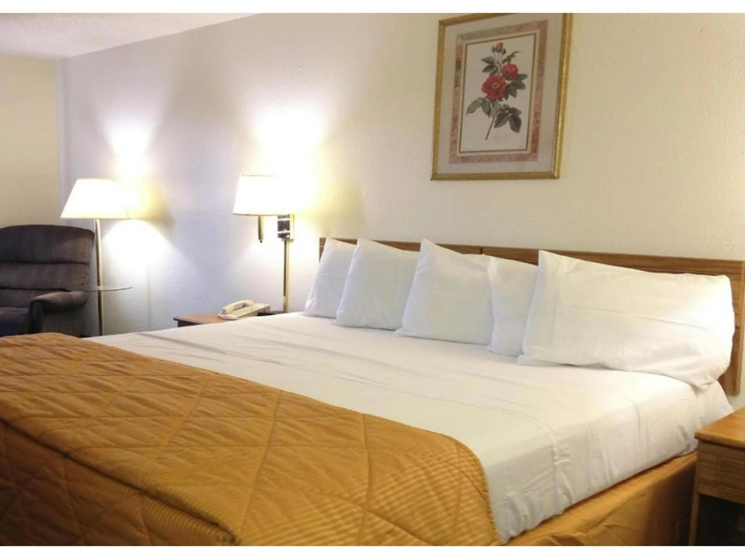 Bedroom, Bed in Capital O Amerihost Inn and Suites Mexico Hwy 54 MO