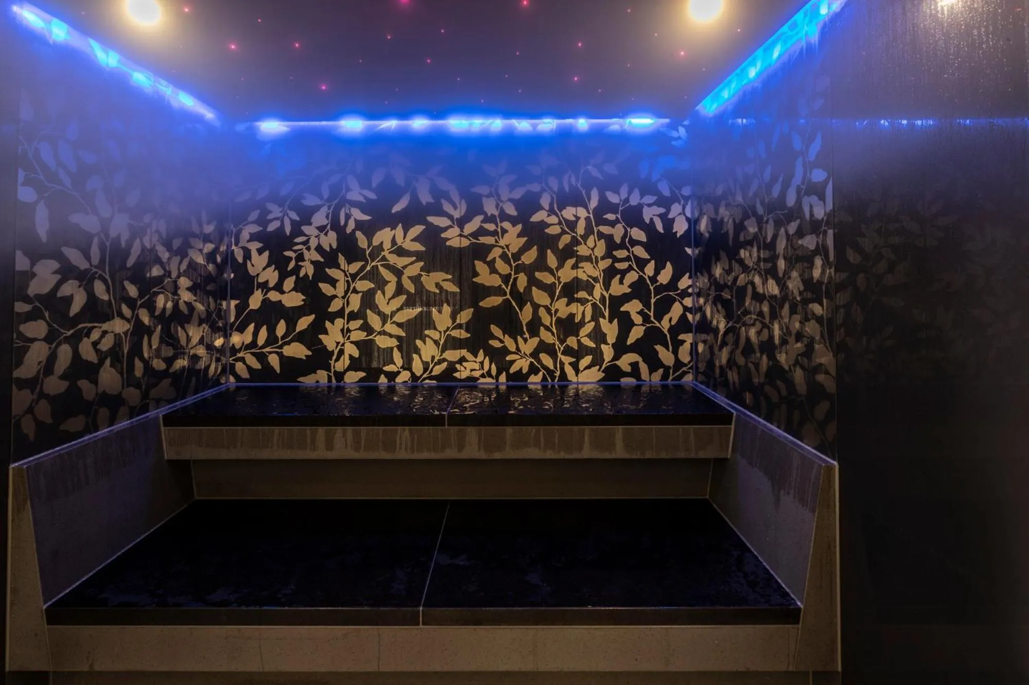 Steam room in Hôtel Lyon Métropole & Spa