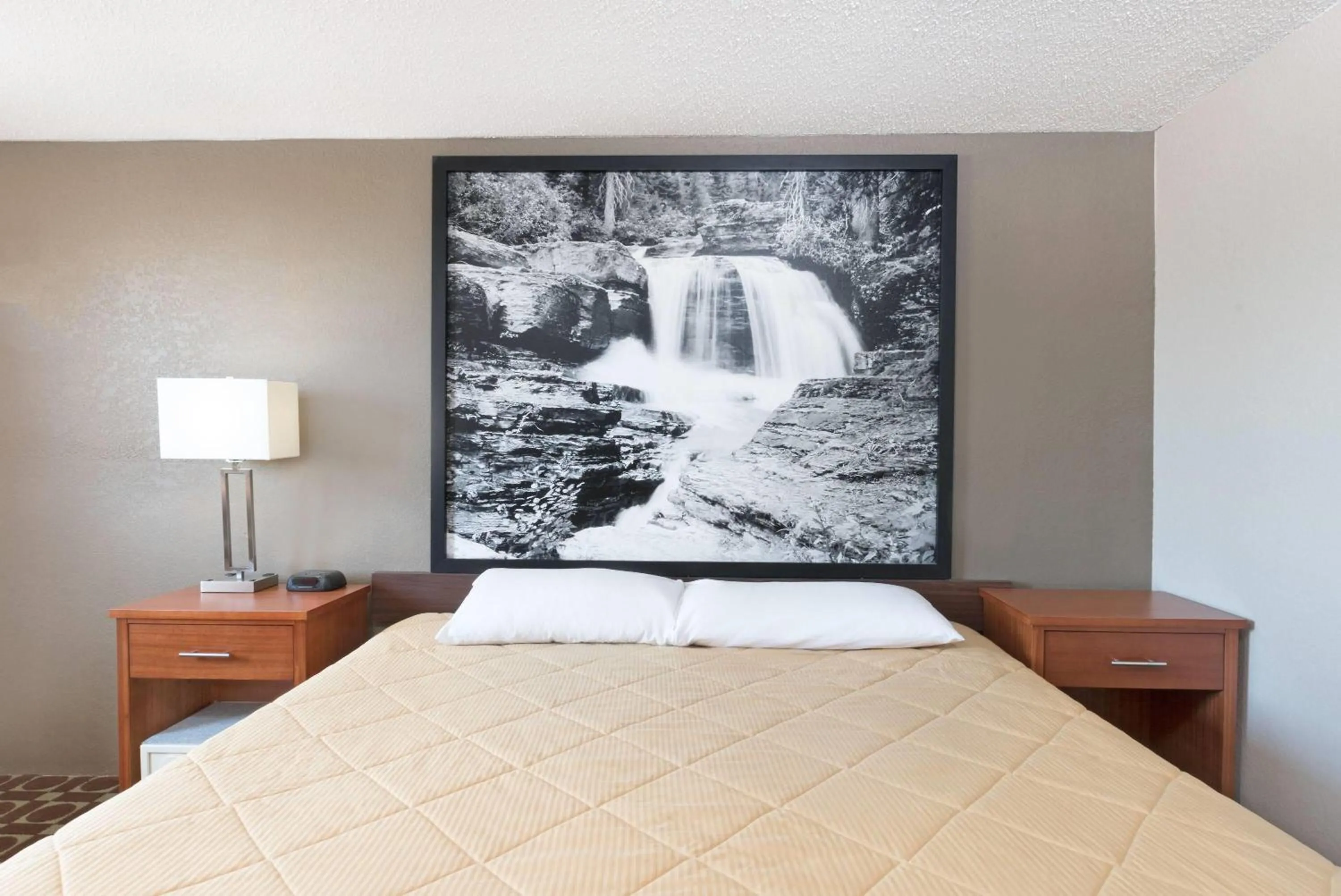 Photo of the whole room, Bed in Super 8 by Wyndham Miles City