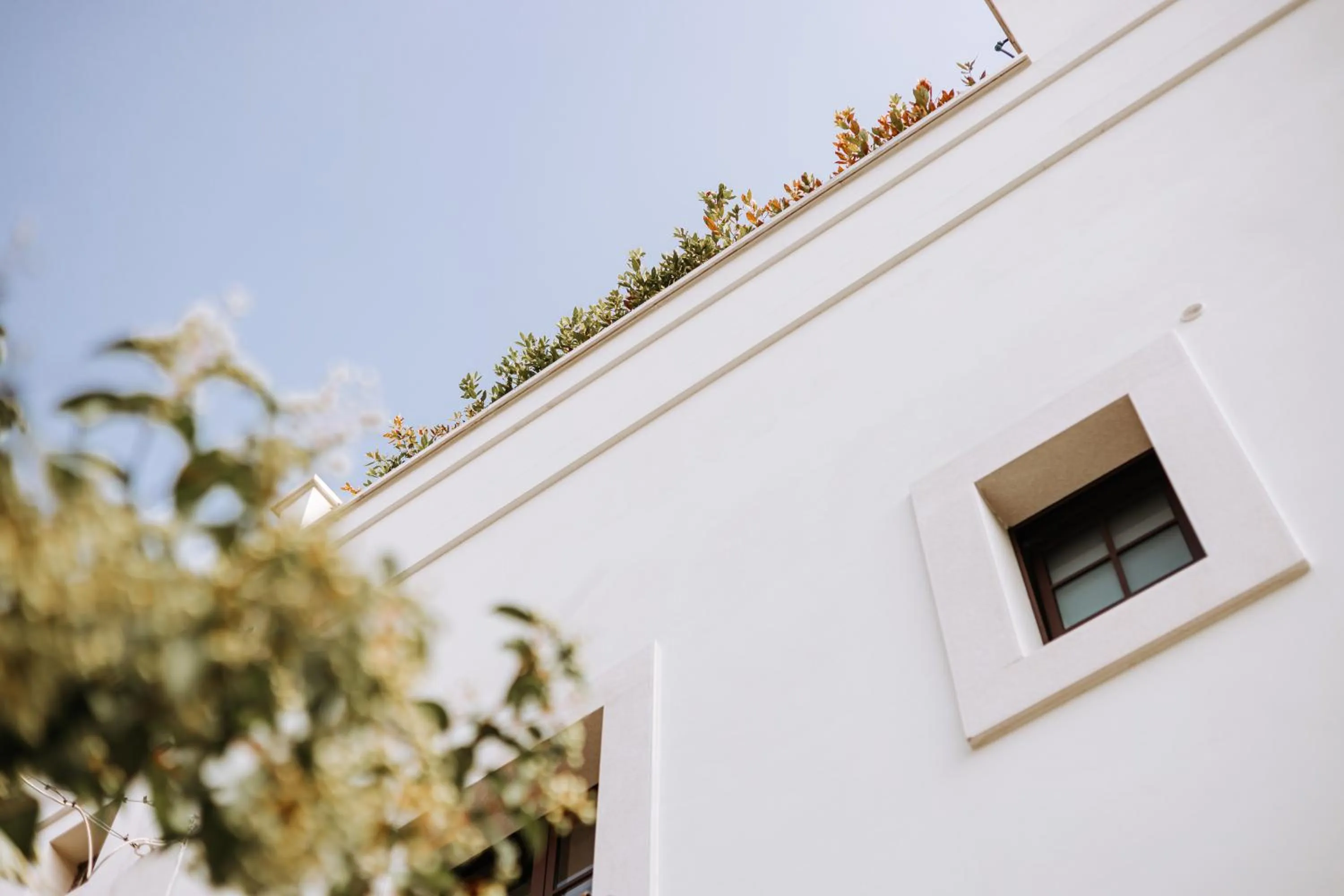 Suite1212 - Pirrelli