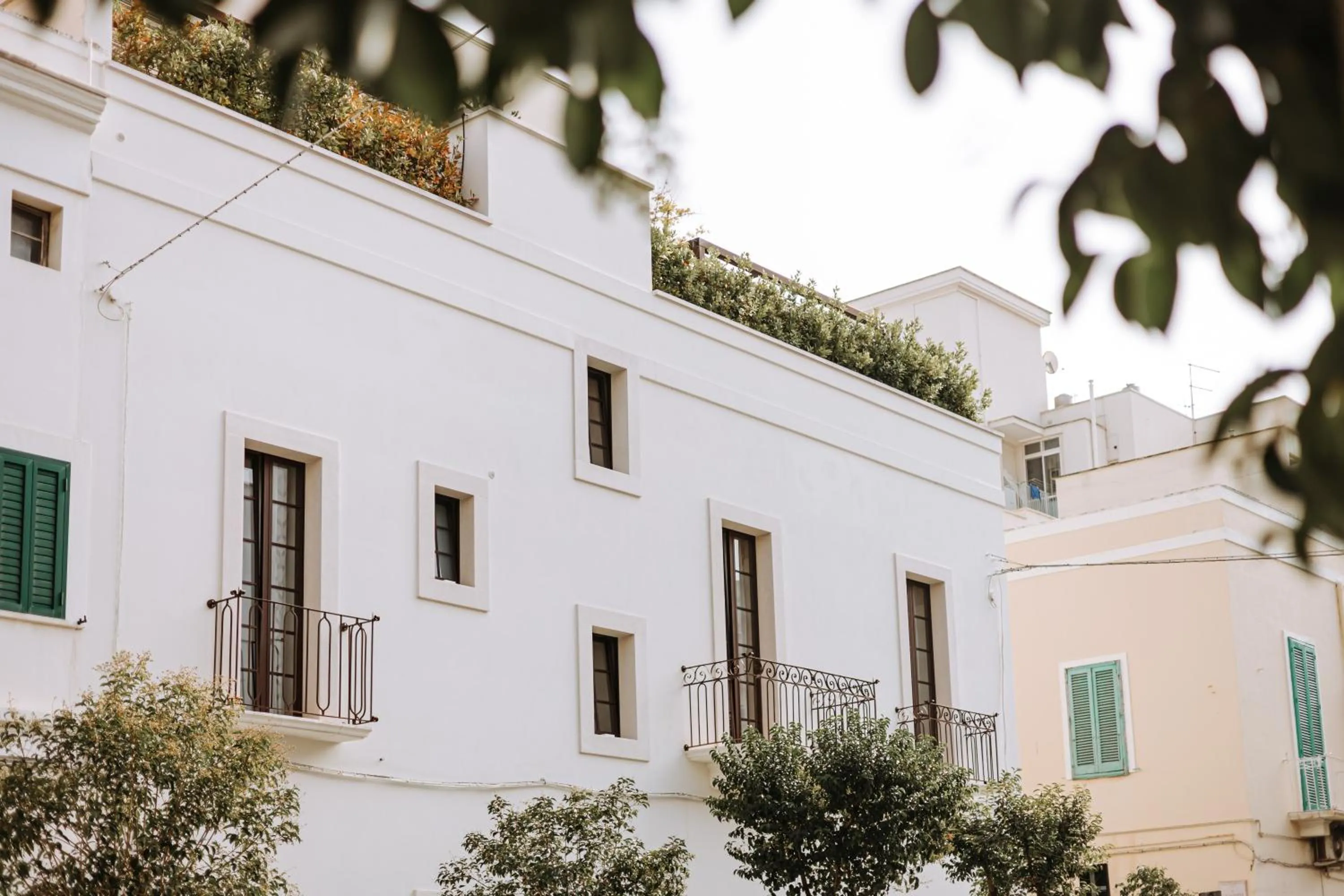 Suite1212 - Pirrelli