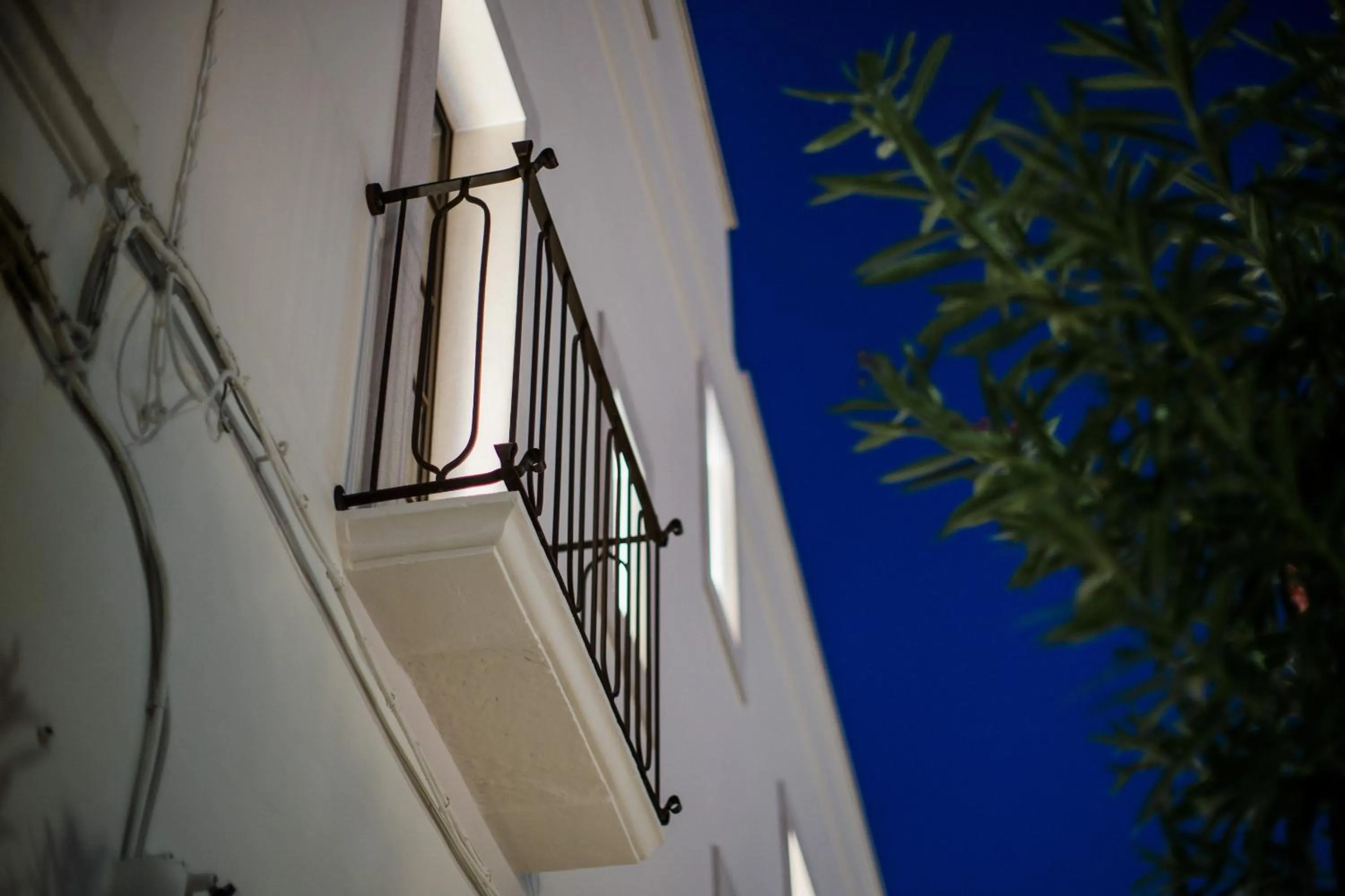 Suite1212 - Pirrelli