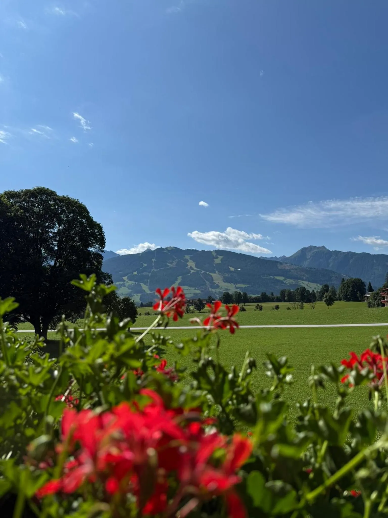 Mountain view in Pension Möslehnerhof