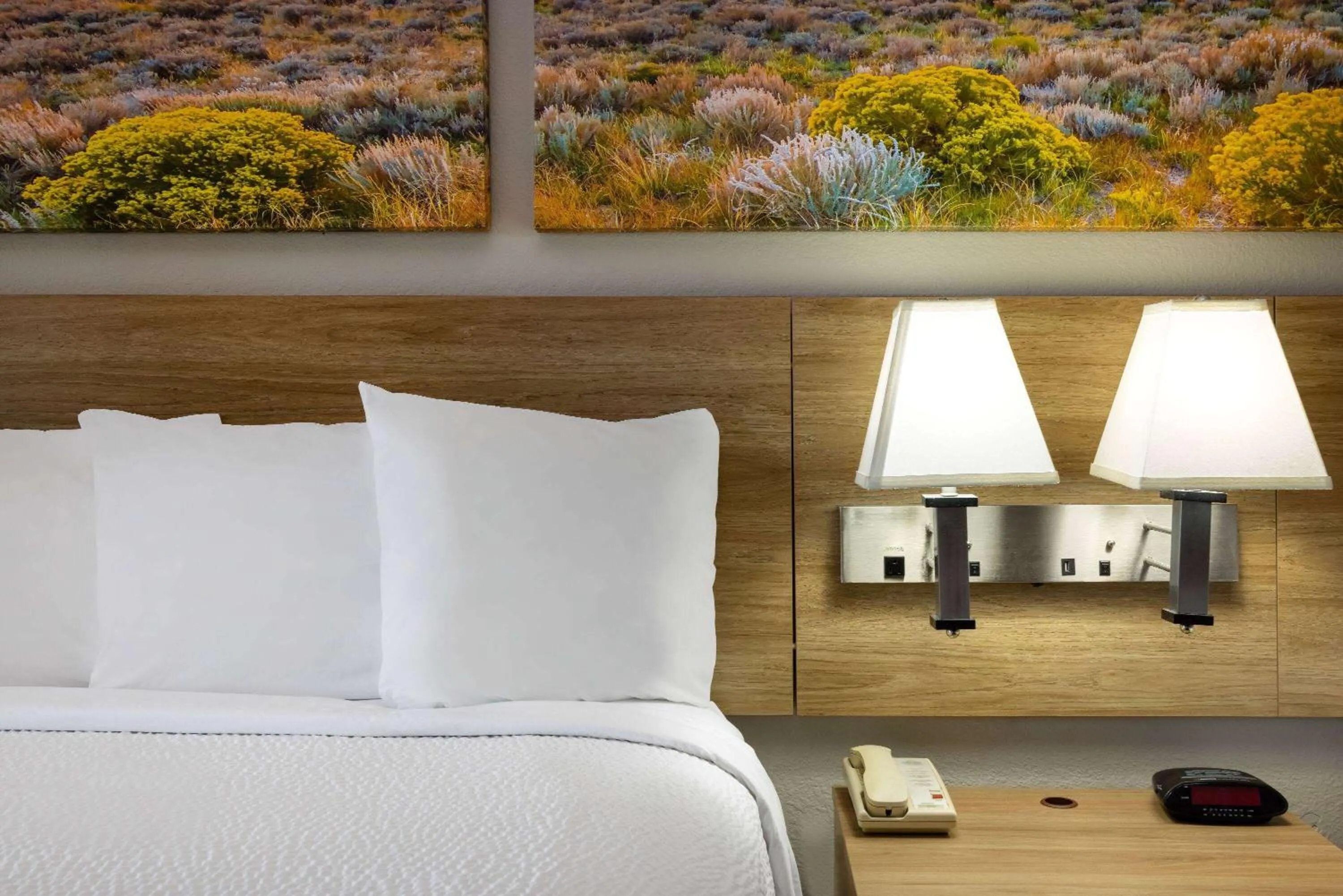 Photo of the whole room, Bed in Days Inn by Wyndham Roswell