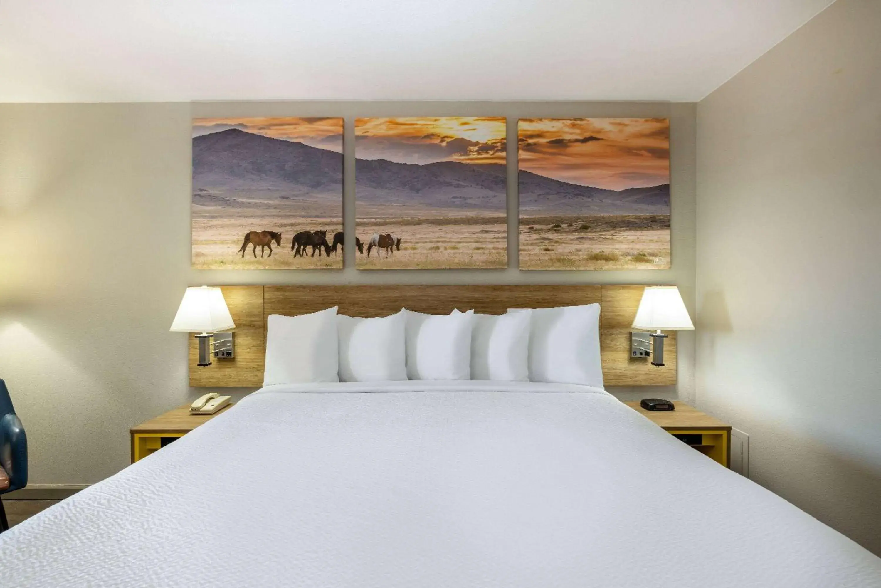 King Room - Disability Access/Non-Smoking in Days Inn by Wyndham Roswell King Room - Disability Access/Non-Smoking in Days Inn by Wyndham Roswell