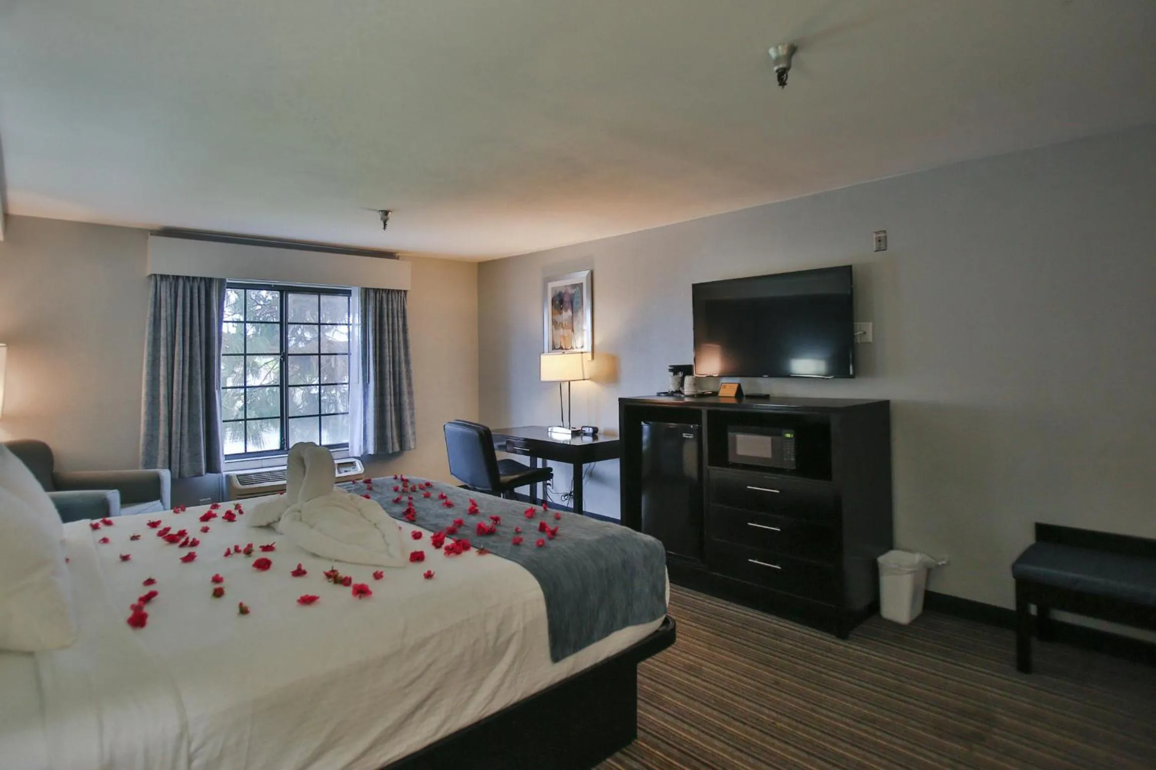 Bedroom, Bed in Best Western Surf City