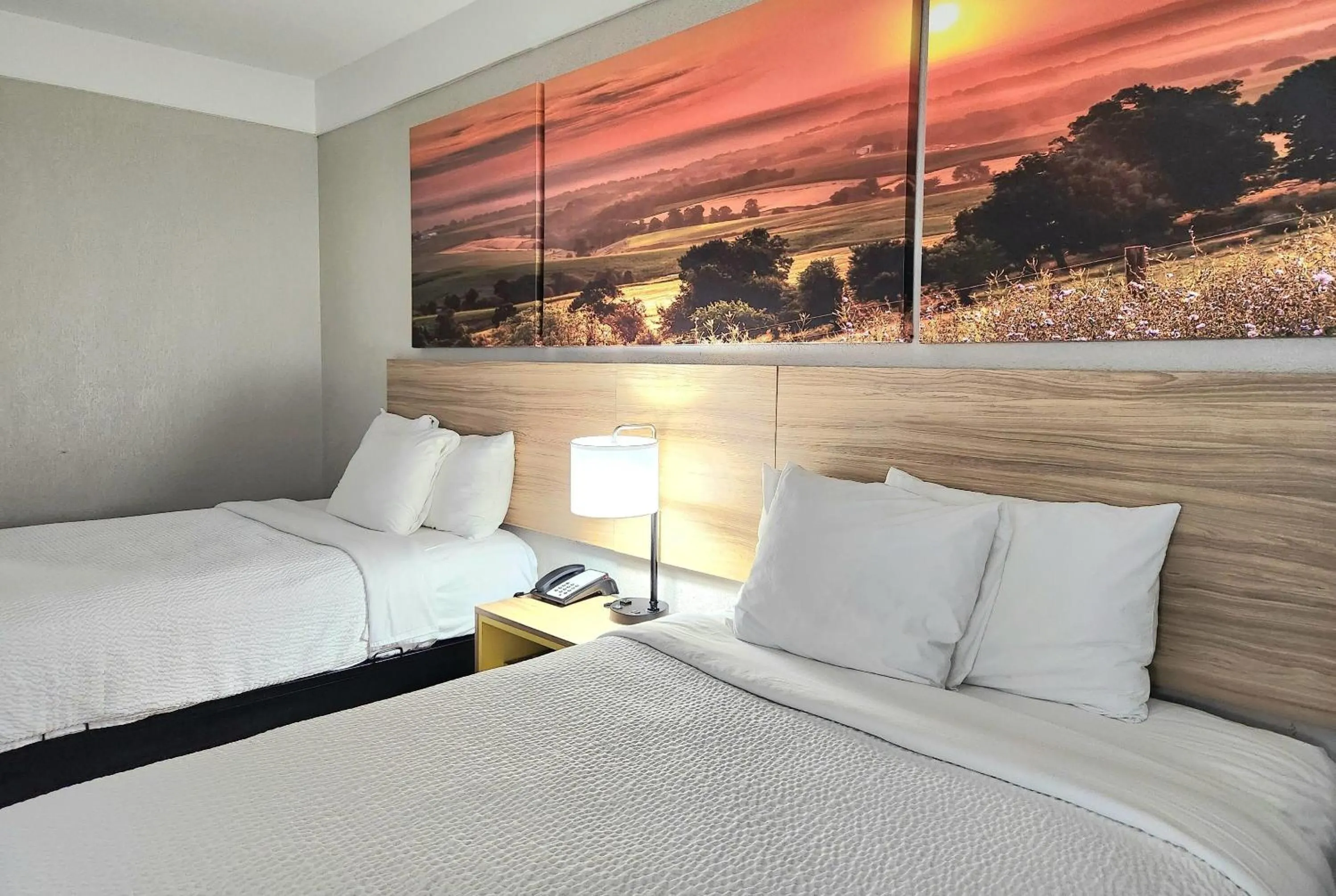 Photo of the whole room, Bed in Days Inn by Wyndham Denham Springs-Baton Rouge East