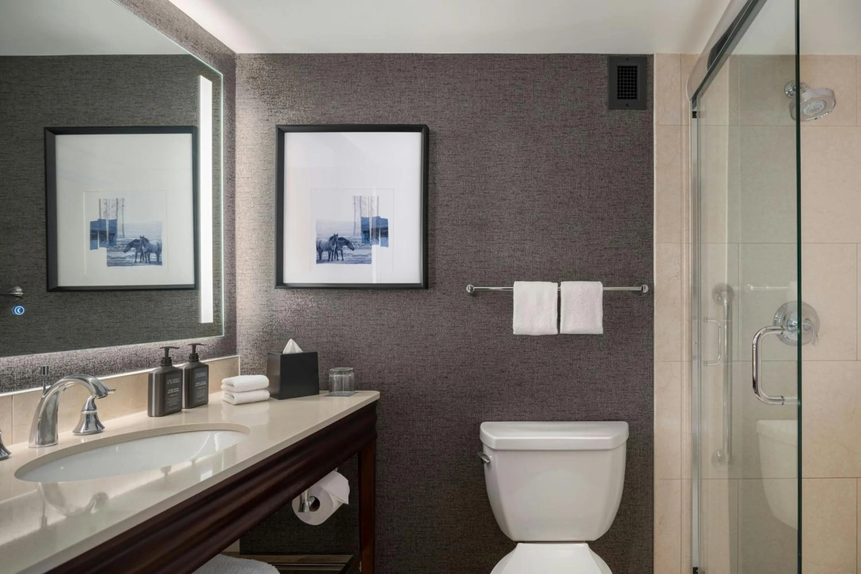 Bathroom in Sheraton Cavalier Calgary Hotel