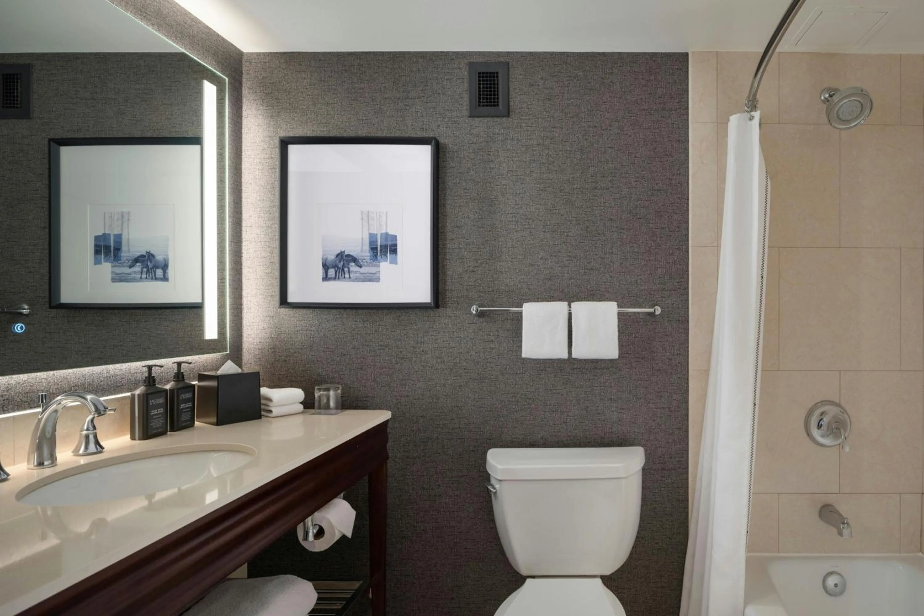 Bathroom in Sheraton Cavalier Calgary Hotel