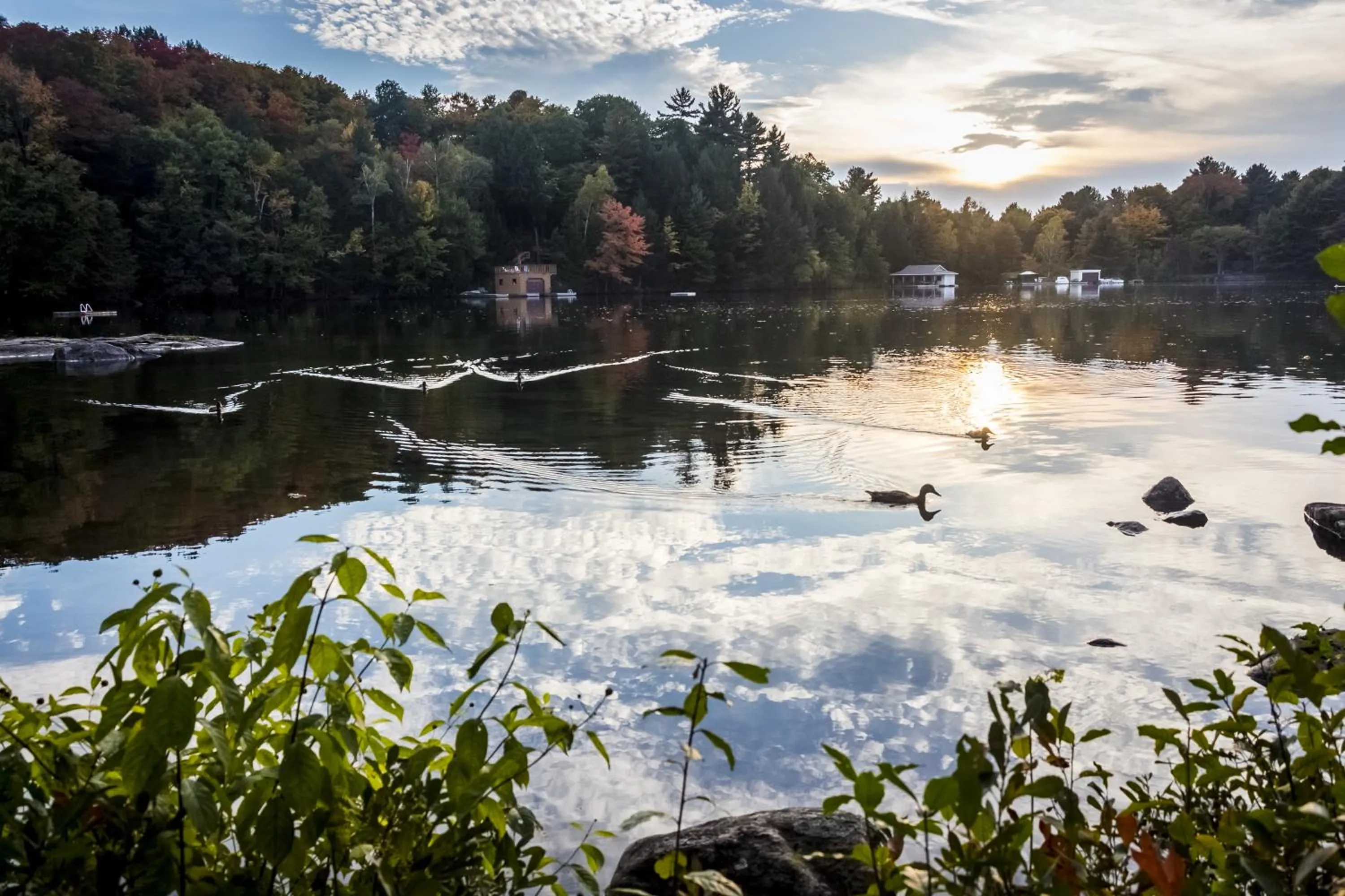 View (from property/room) in Sherwood Inn