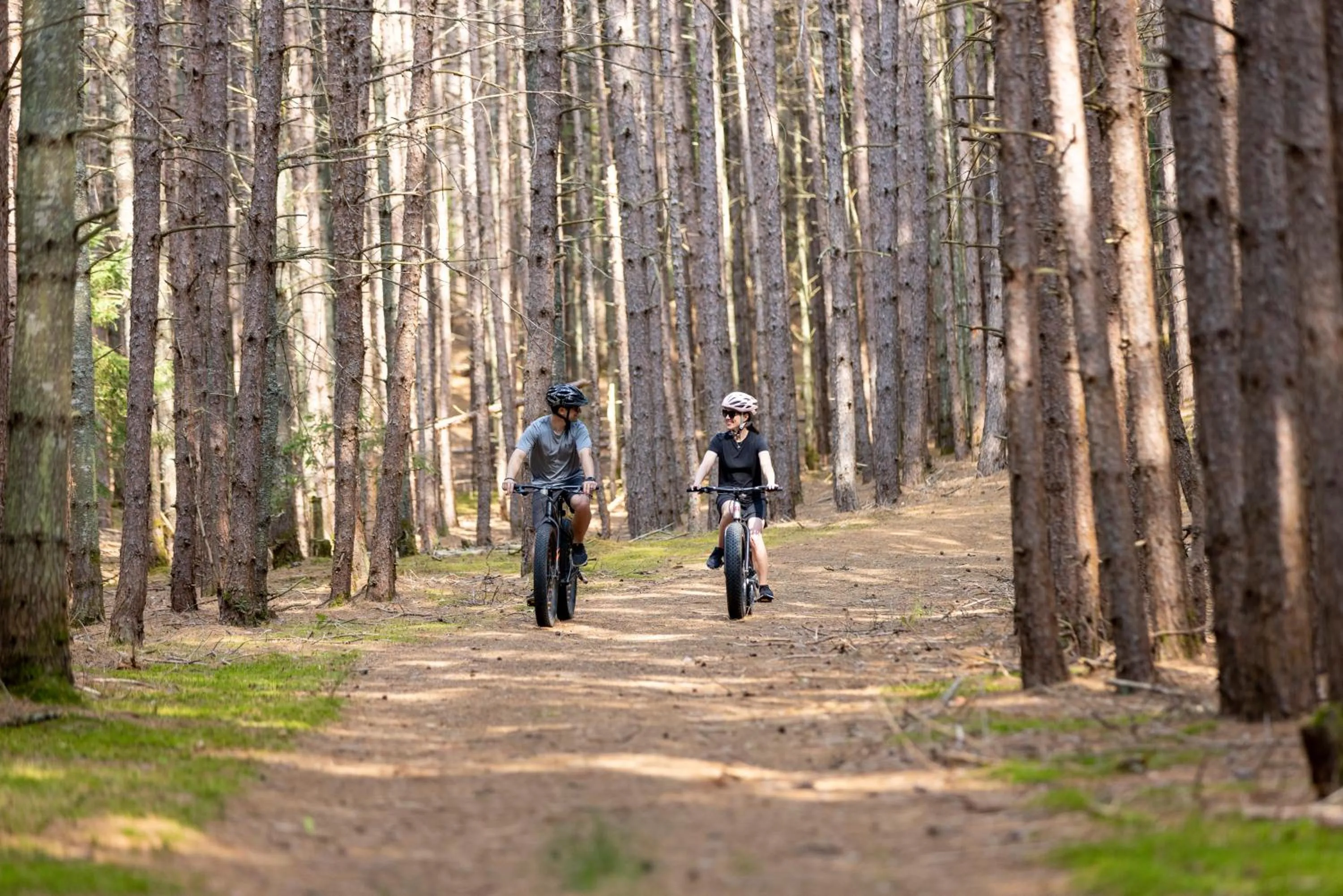 Natural landscape in Sherwood Inn