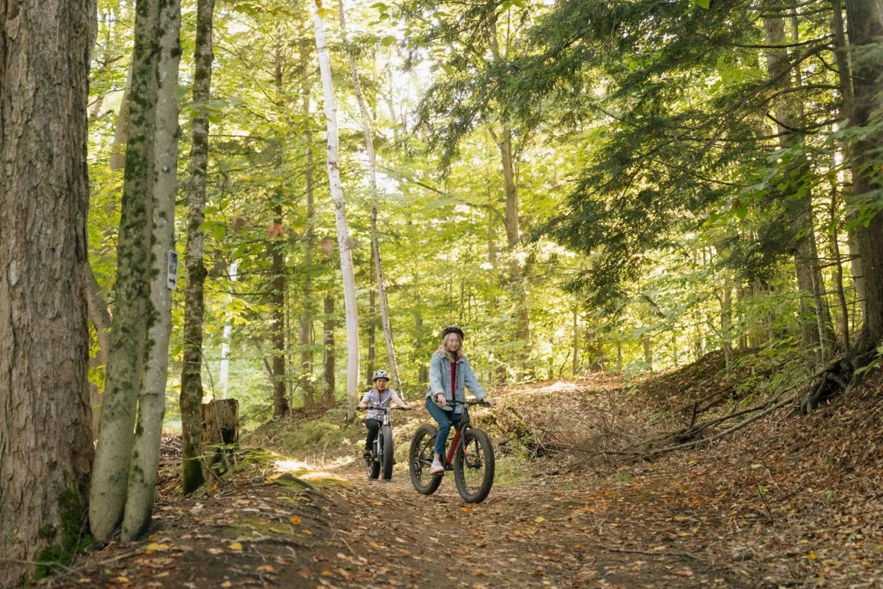 Natural landscape in Sherwood Inn