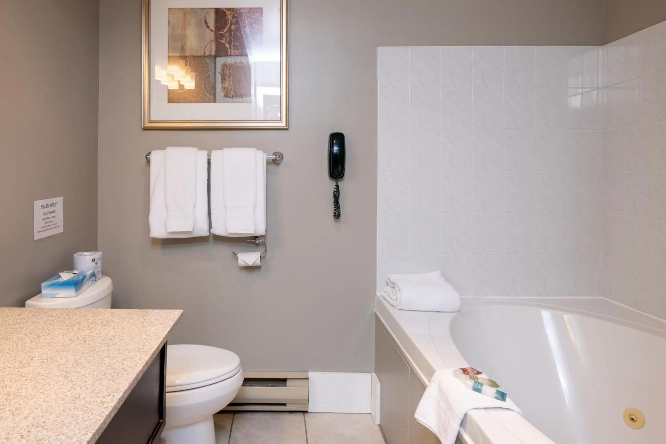 Toilet in Sherwood Inn