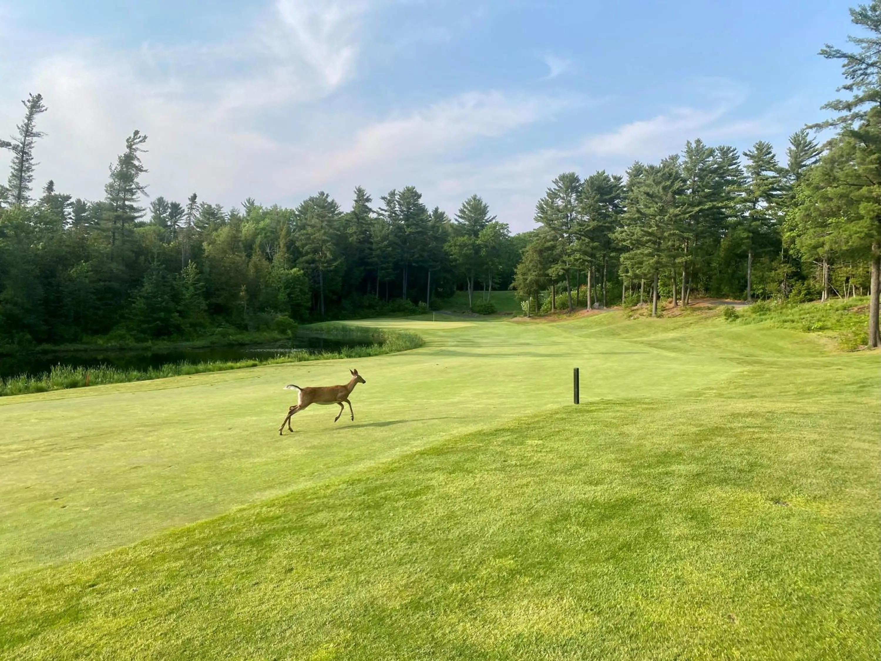 Golfcourse in Sherwood Inn