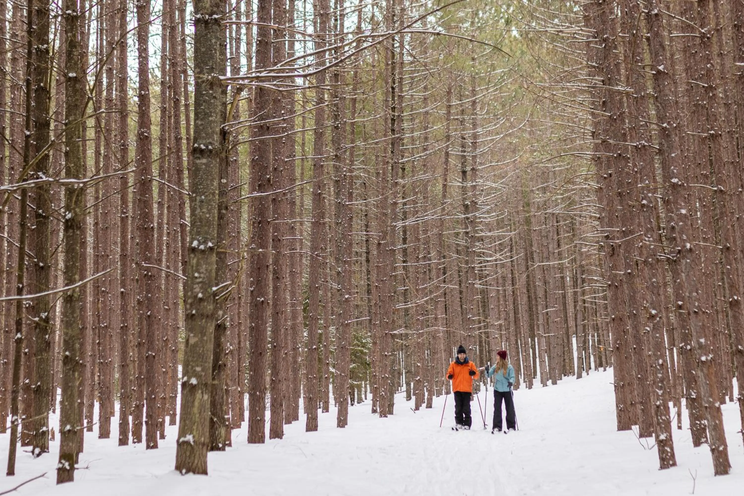 Winter in Sherwood Inn