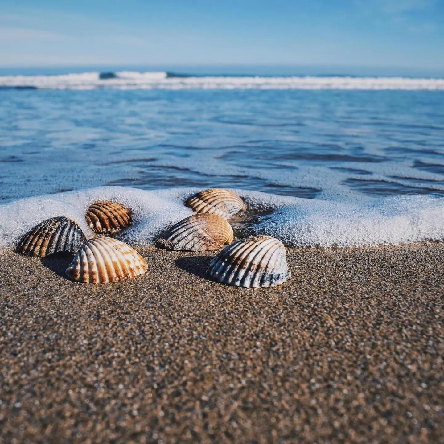 Natural landscape in HOTEL SOLARIS