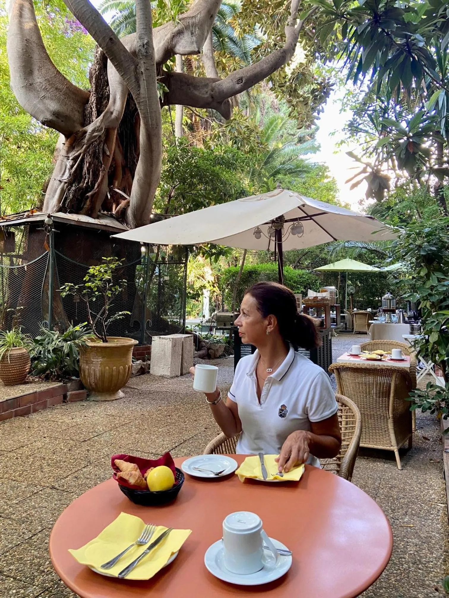 Breakfast in Le Windsor, Jungle Art Hotel