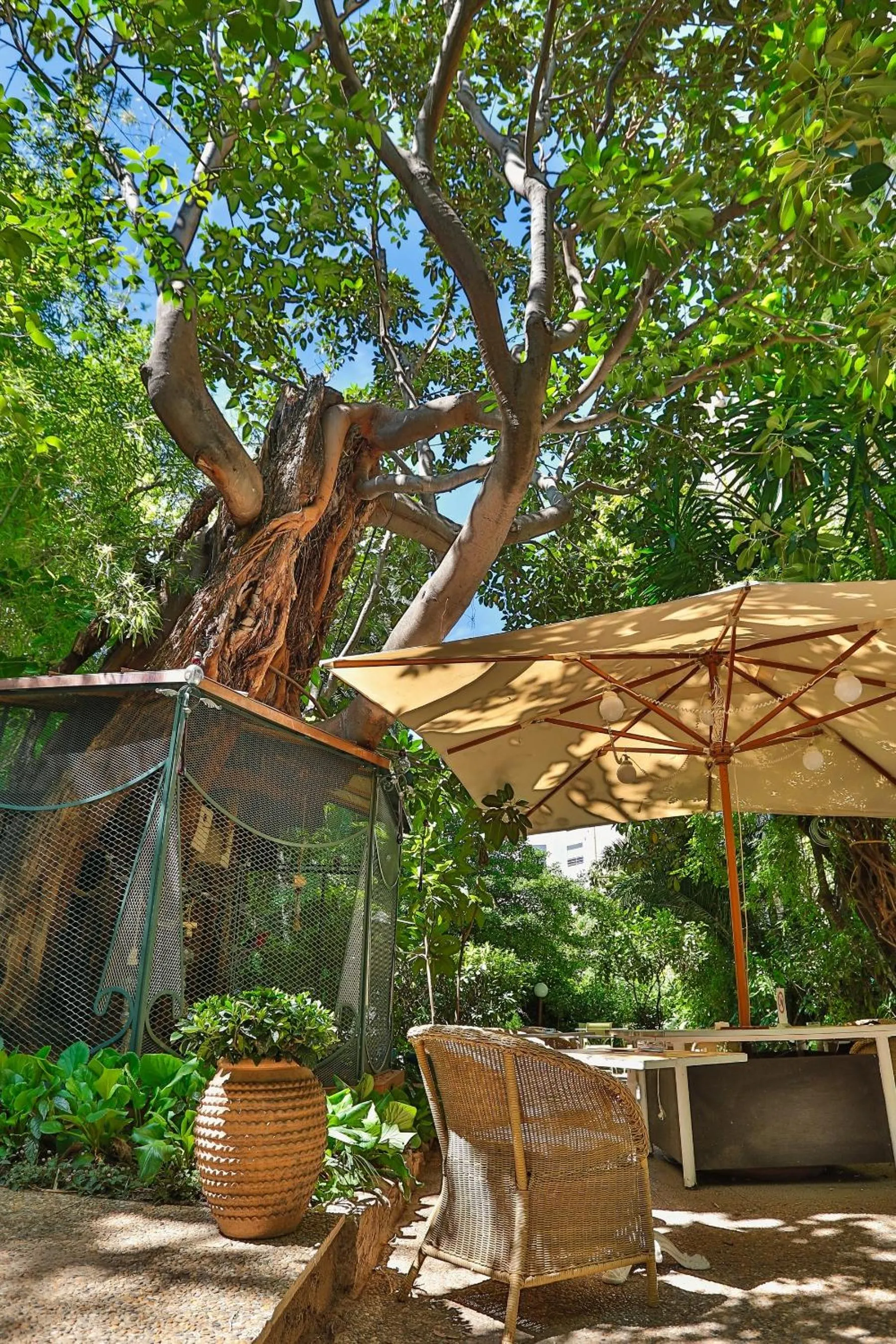 Balcony/Terrace in Le Windsor, Jungle Art Hotel