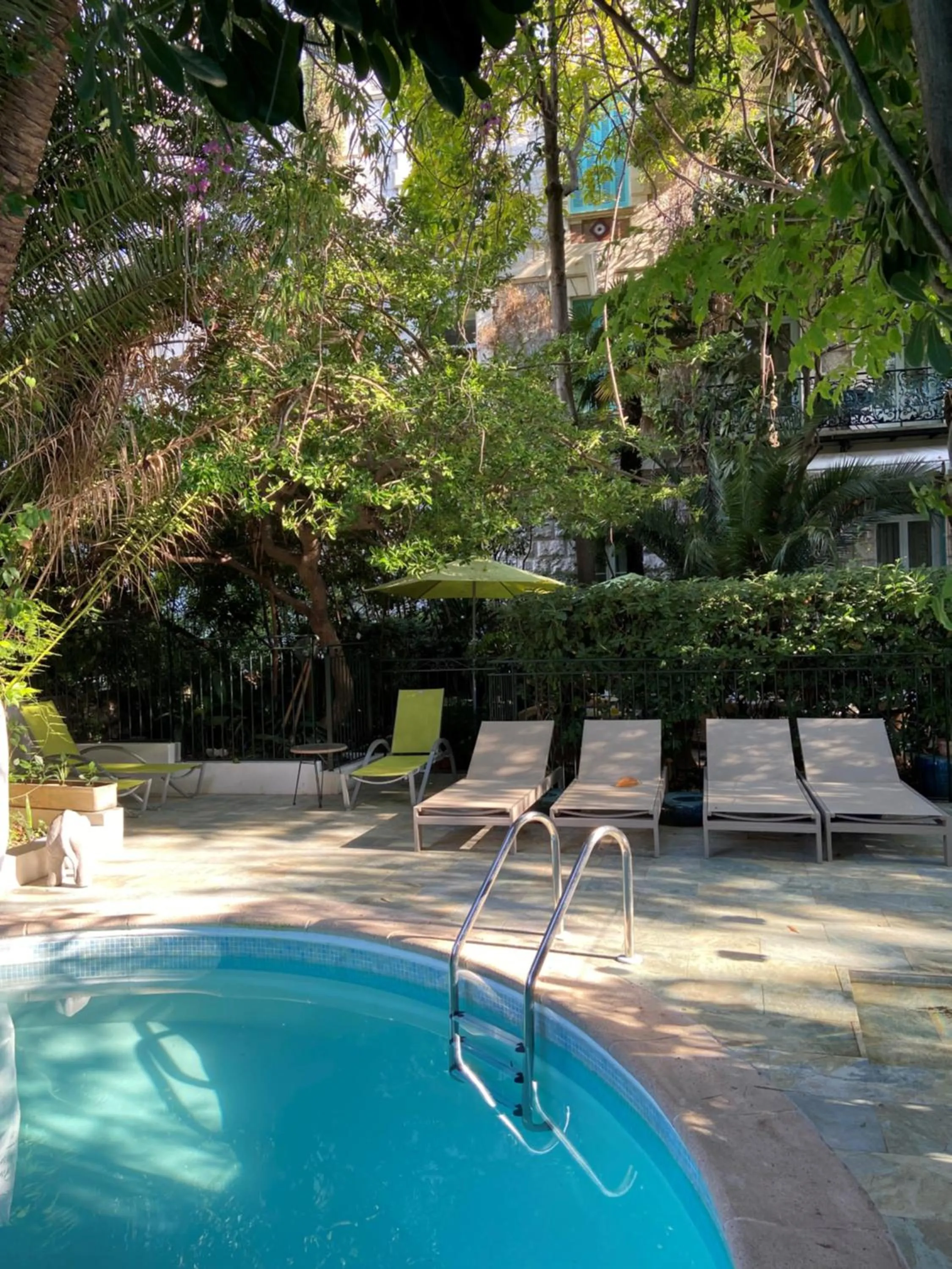 Swimming pool in Le Windsor, Jungle Art Hotel