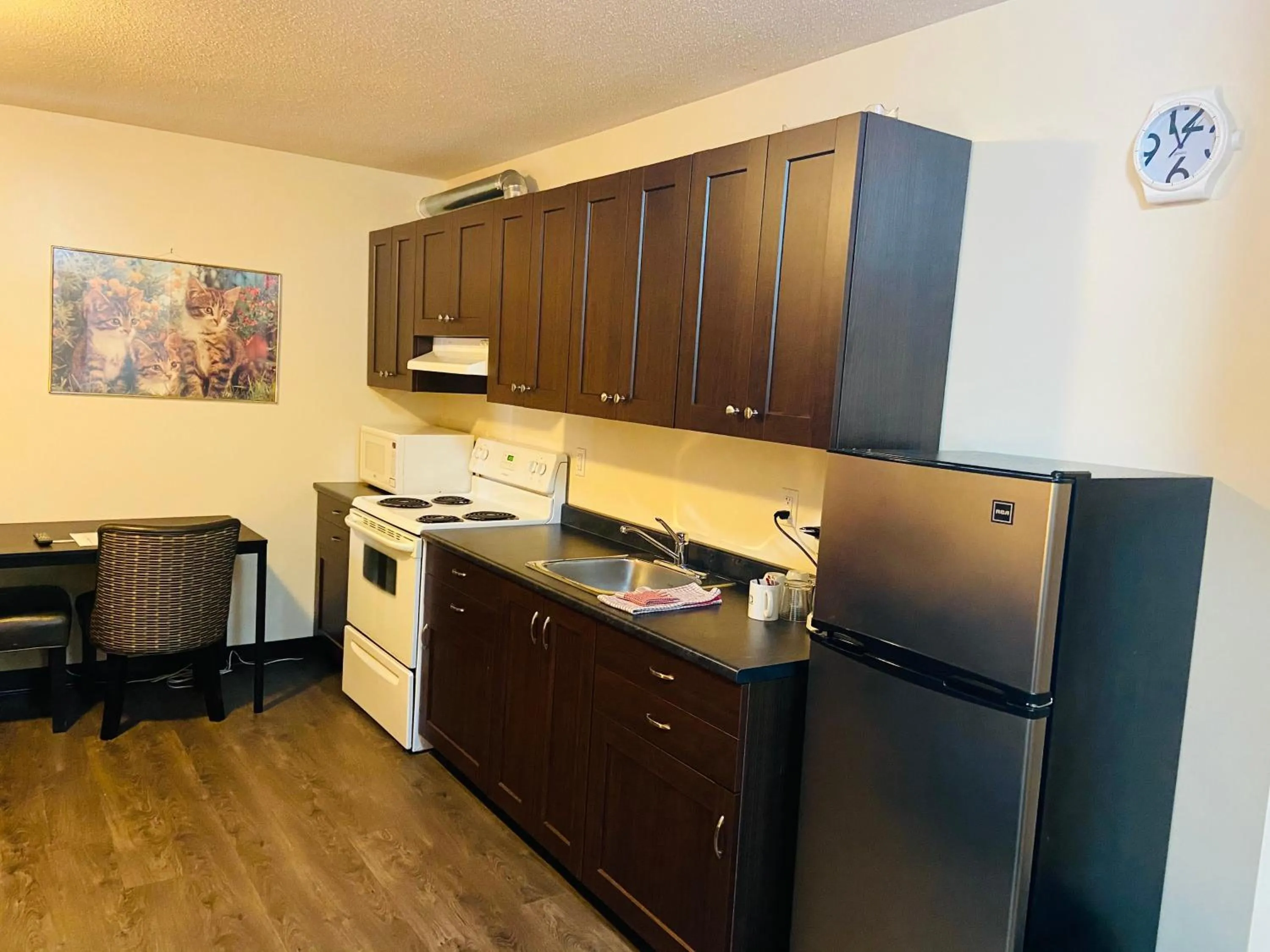 Kitchen or kitchenette in Mountain View Motel