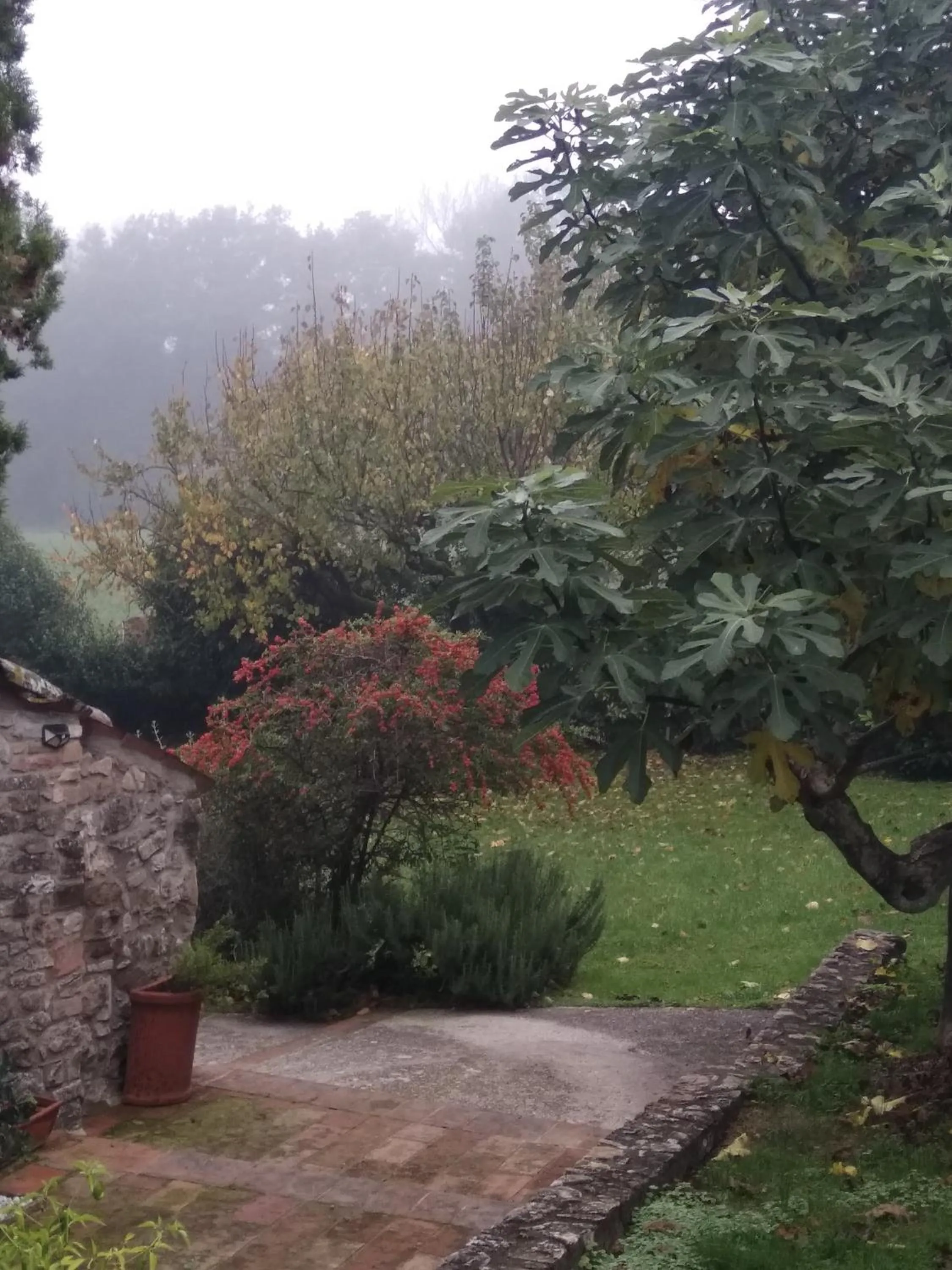 B&B la luna nel Pozzo