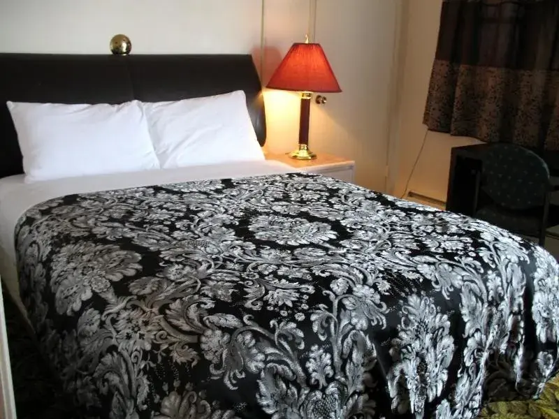 Single Room - single occupancy in Stardust Motel Single Room - single occupancy in Stardust Motel