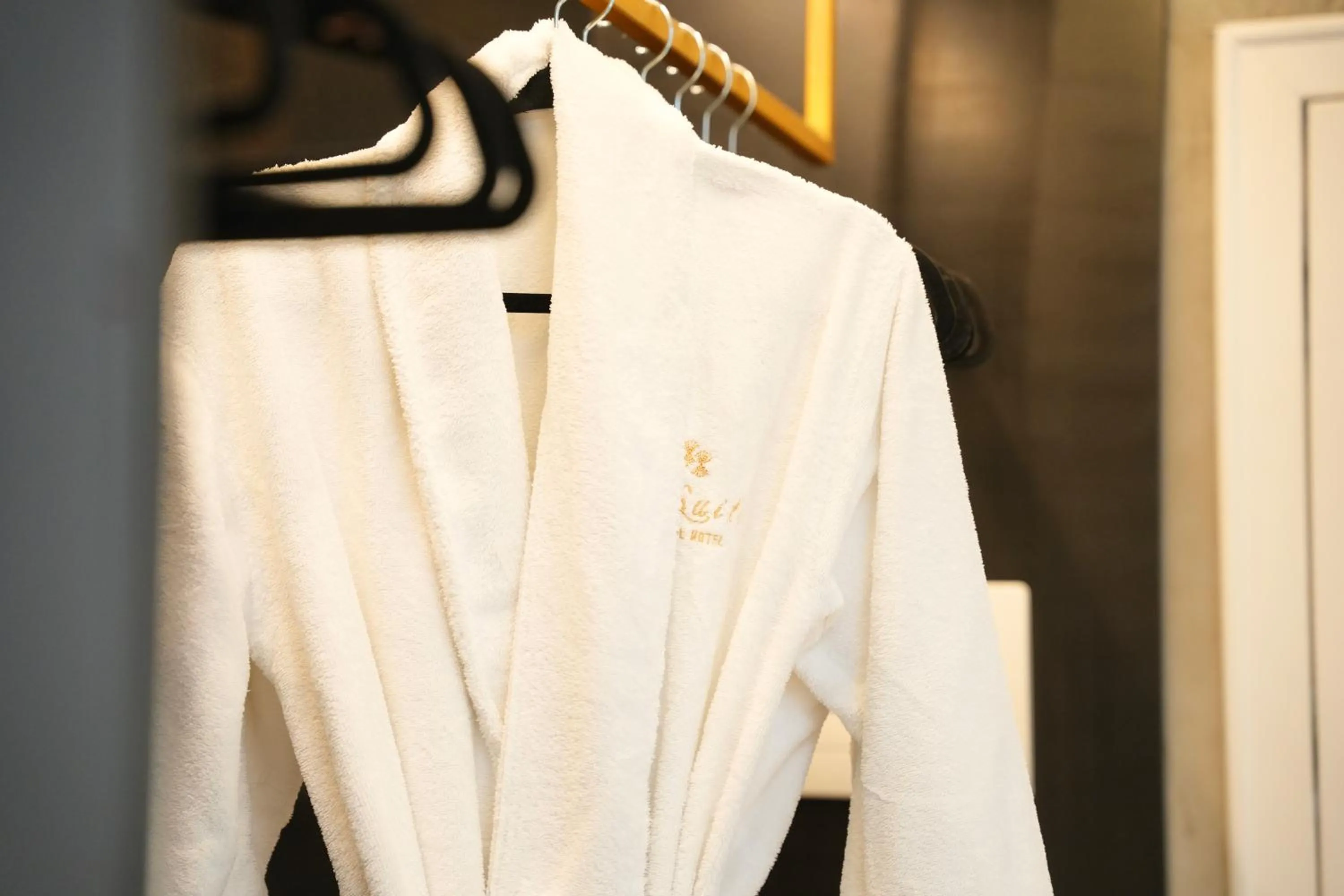 wardrobe in La Suite Boutique Hotel