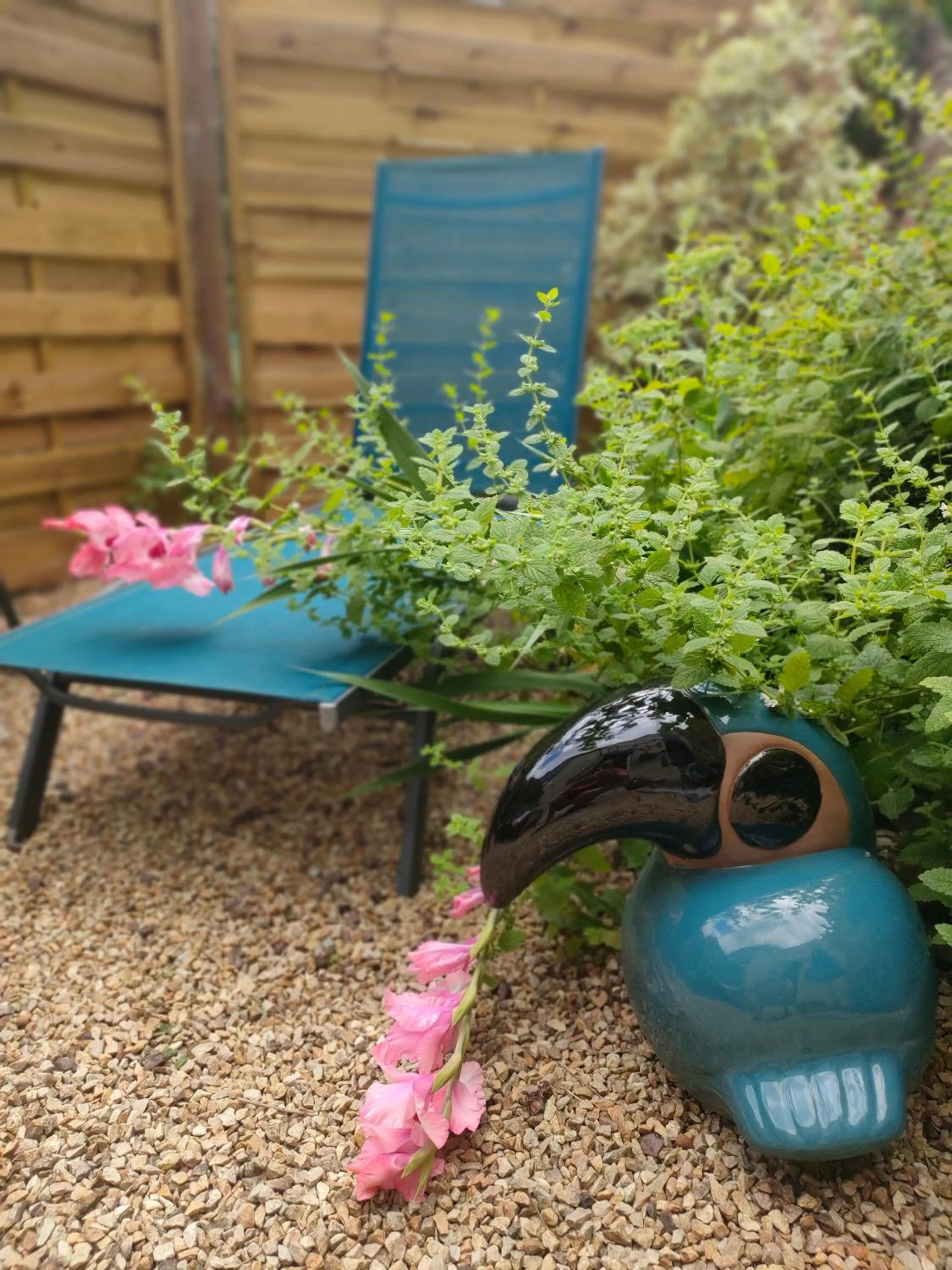 sunbed in Maison d'hôtes La Suite 27, appartement La Suite 27 bis