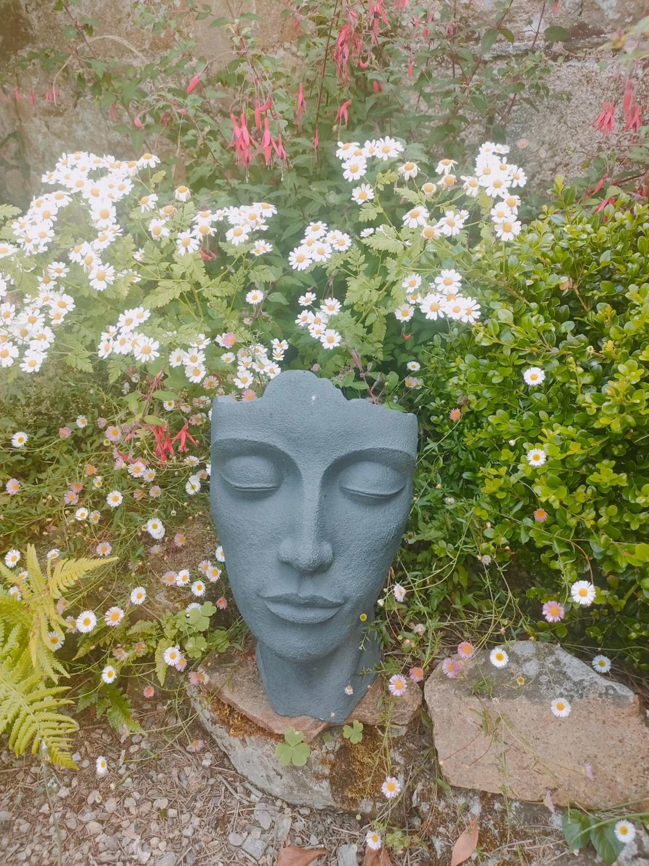 Garden view in Maison d'hôtes La Suite 27, appartement La Suite 27 bis