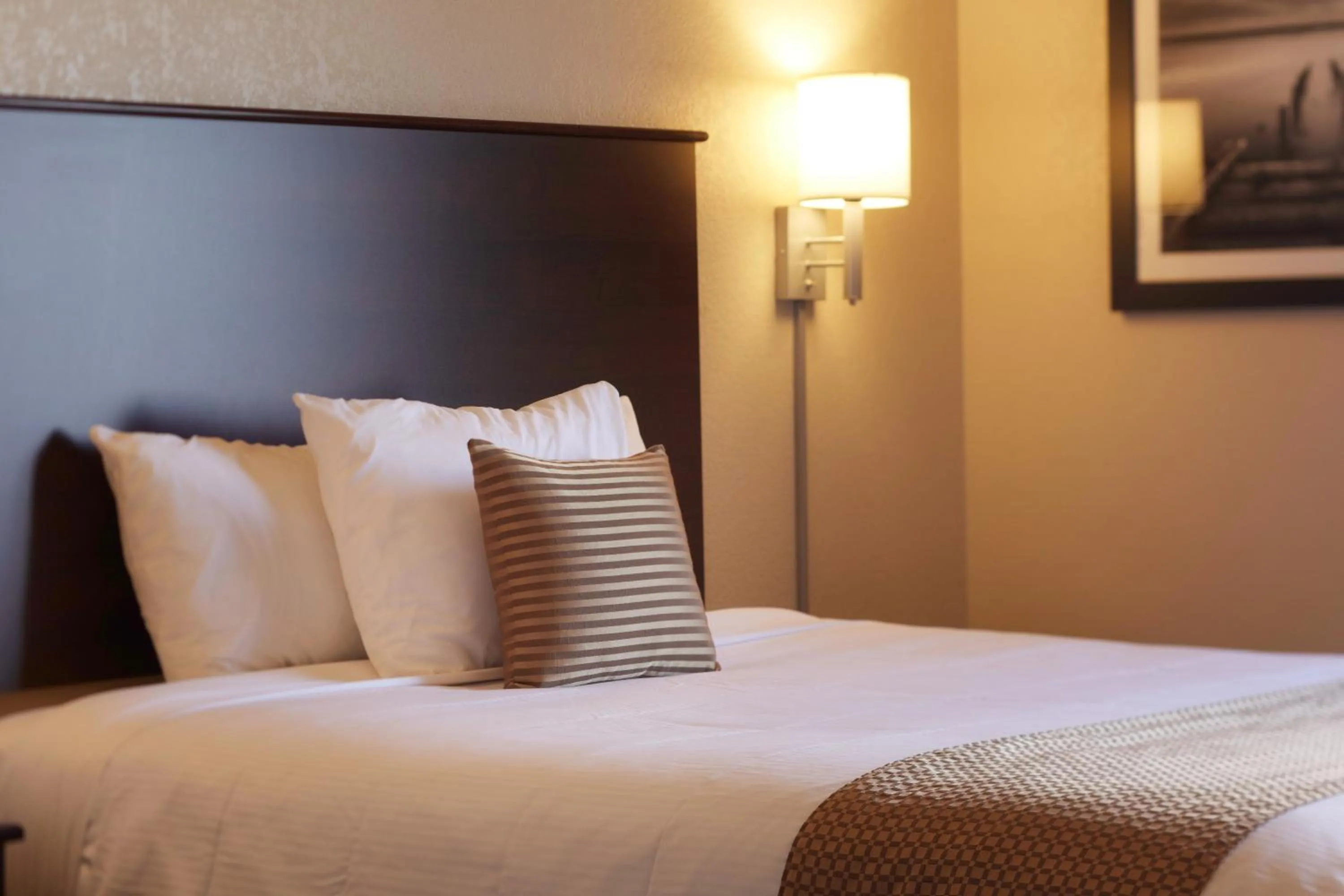 Bed in Travelodge Suites by Wyndham Estevan