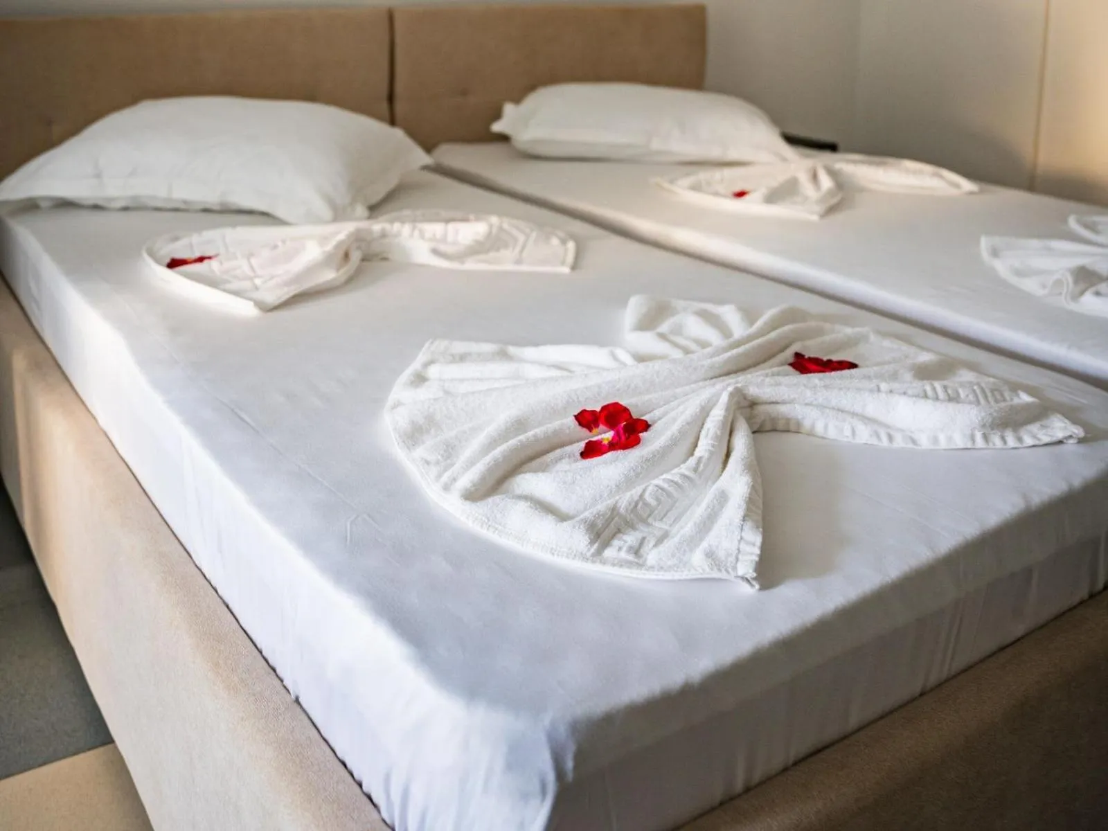 Bed in Complex Vraja Mării Costinești