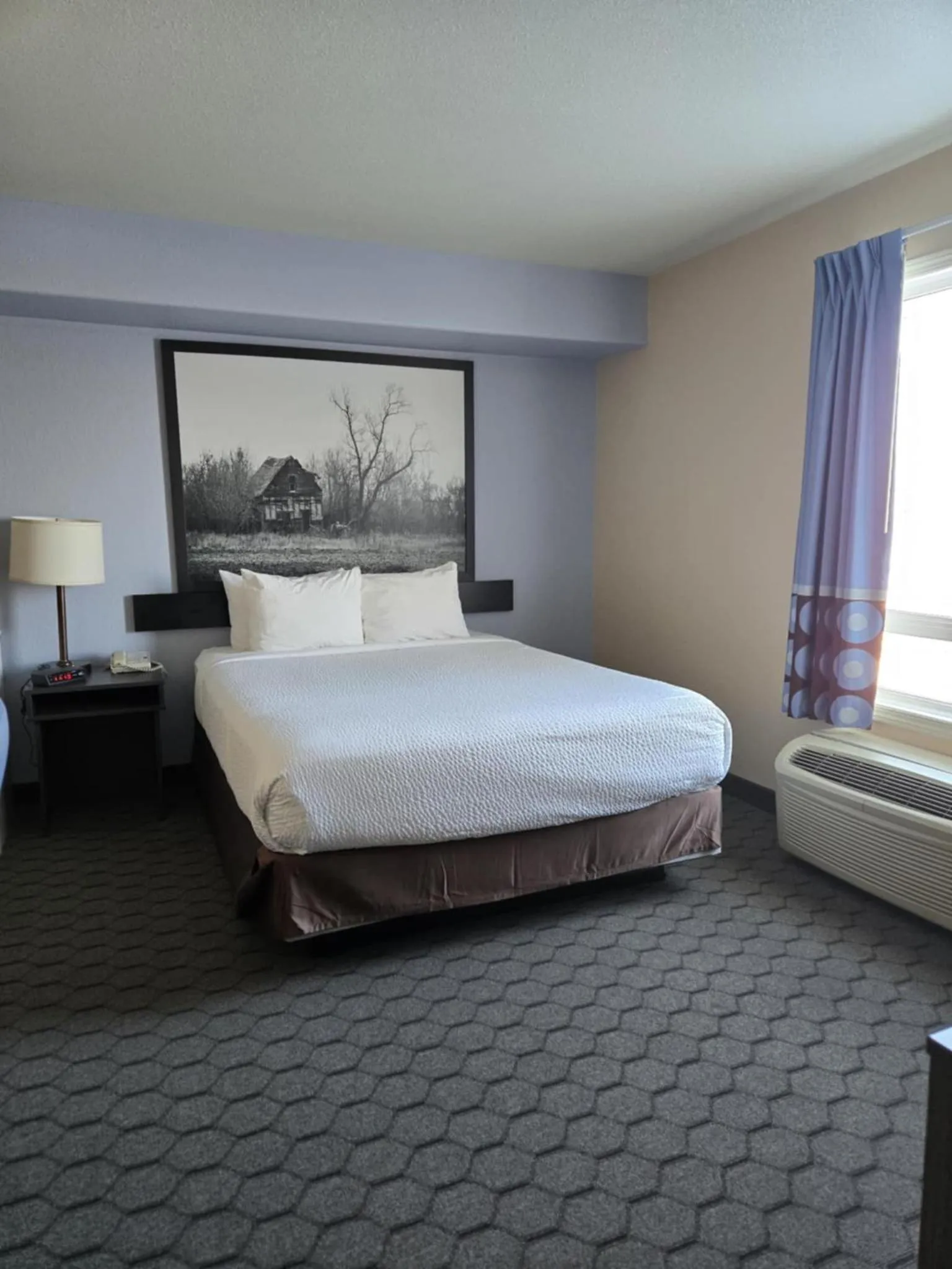 Bed in Super 8 by Wyndham Swan River MB