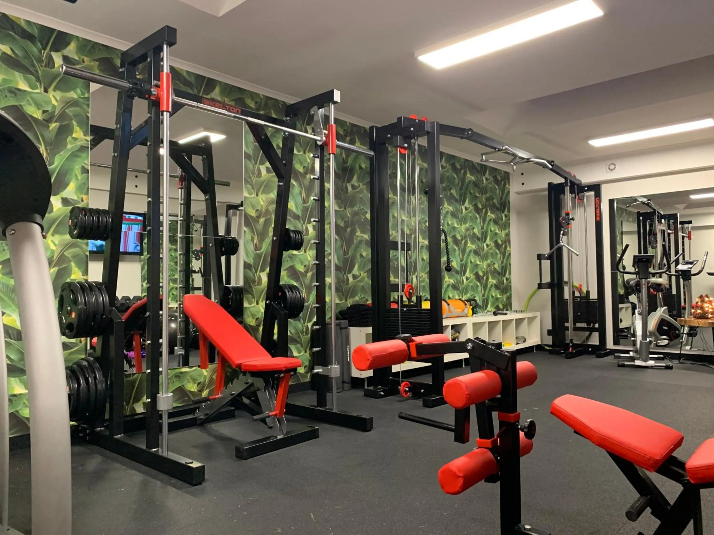 Fitness centre/facilities in Willa Karkonoska