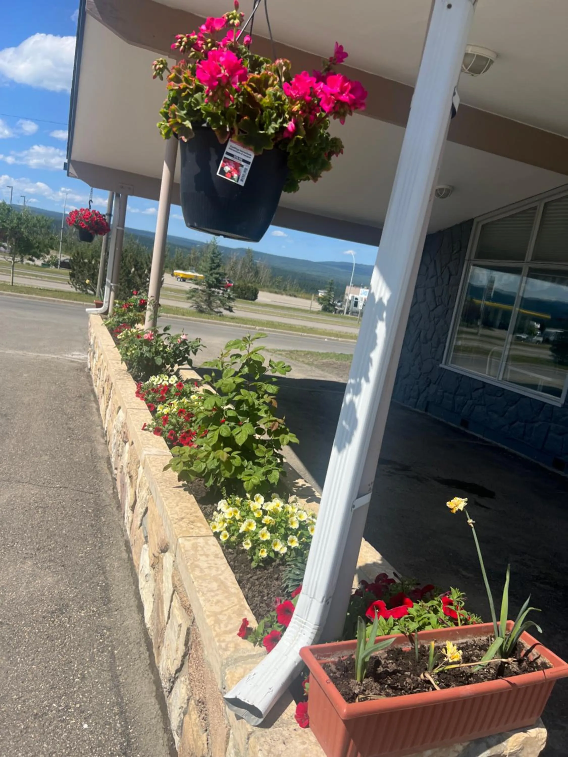 Property building in Tara Vista Inn