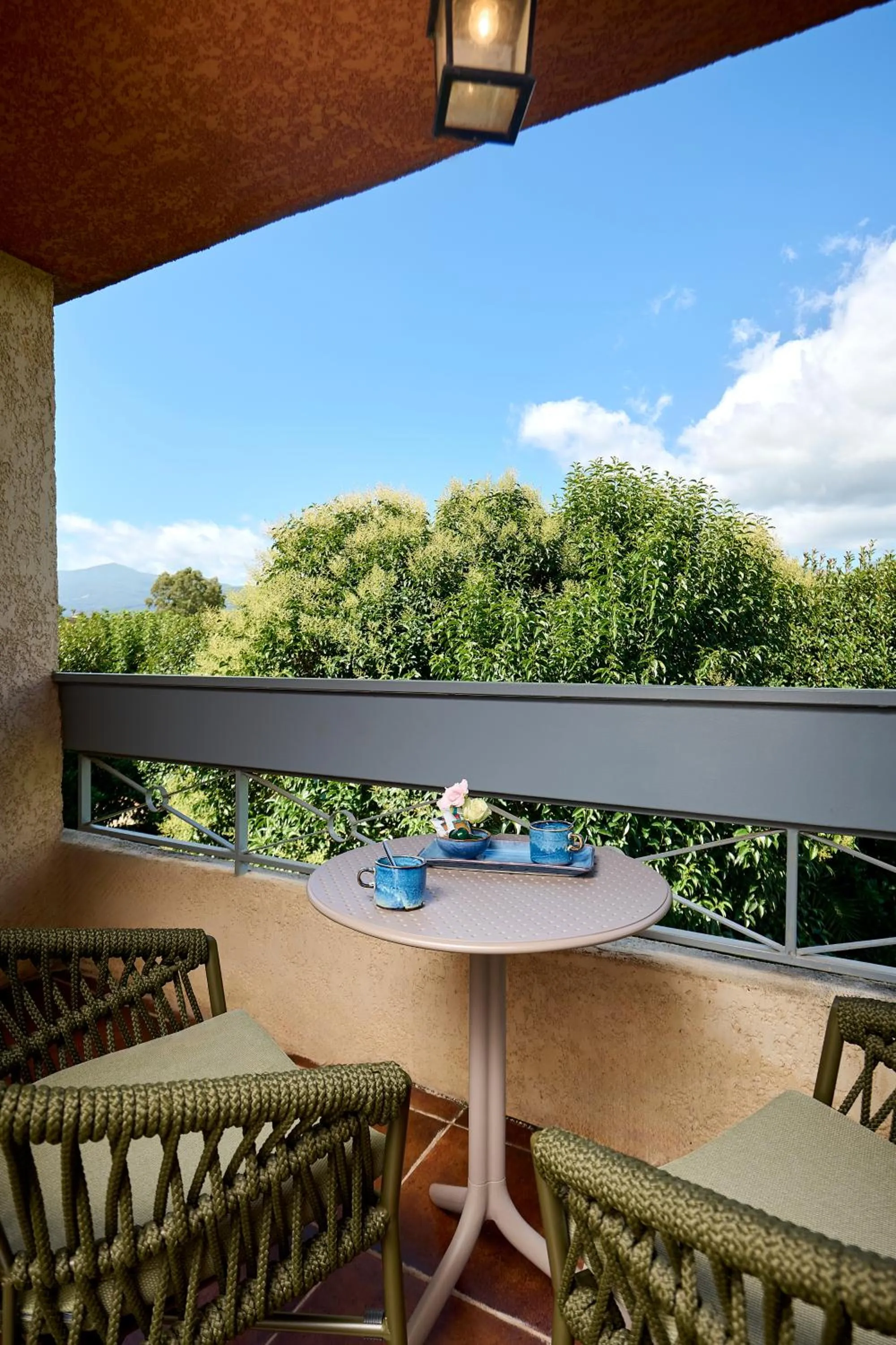 View (from property/room) in Hôtel Les Jardins