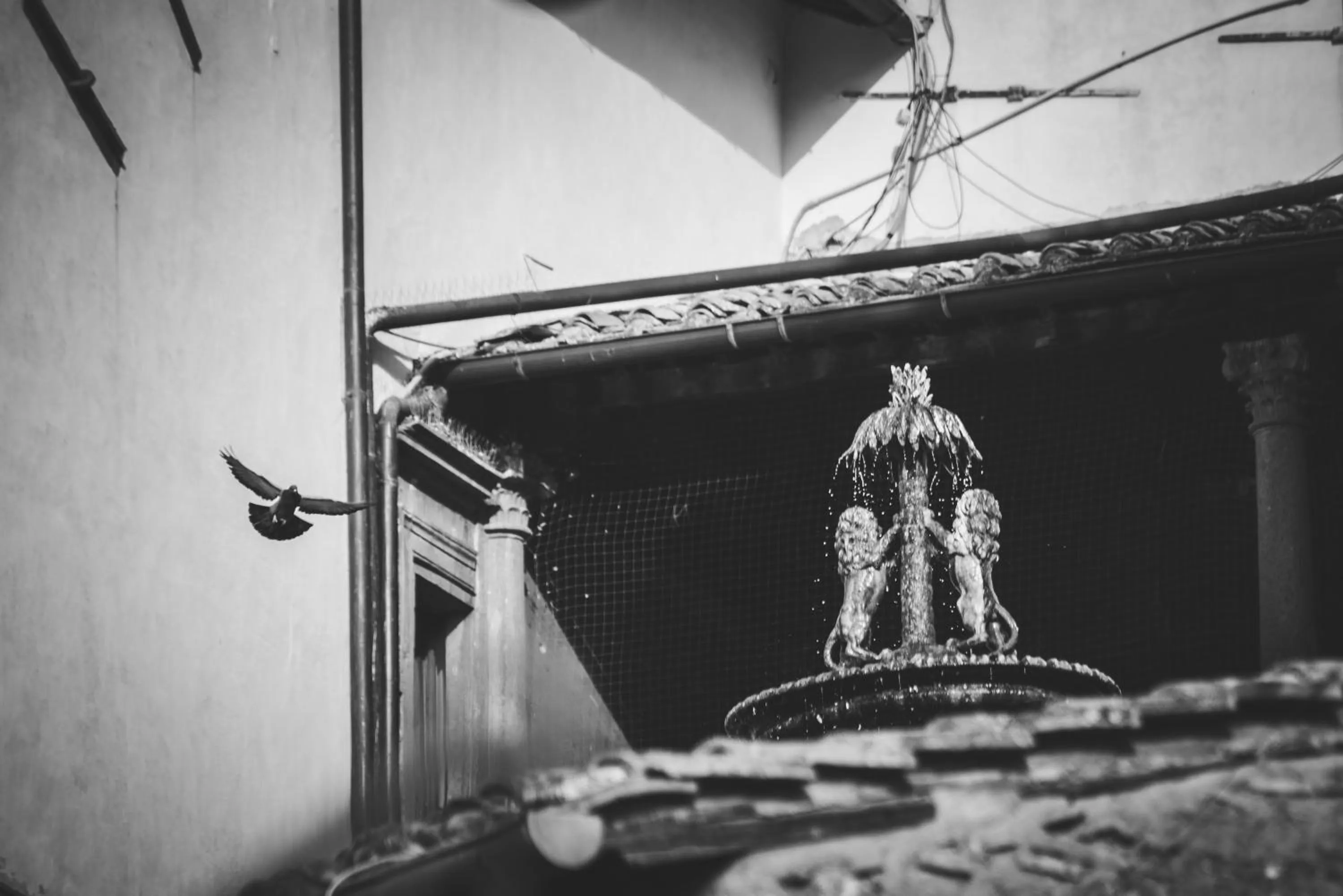 Facade/entrance in Le Undici Rose Hotel