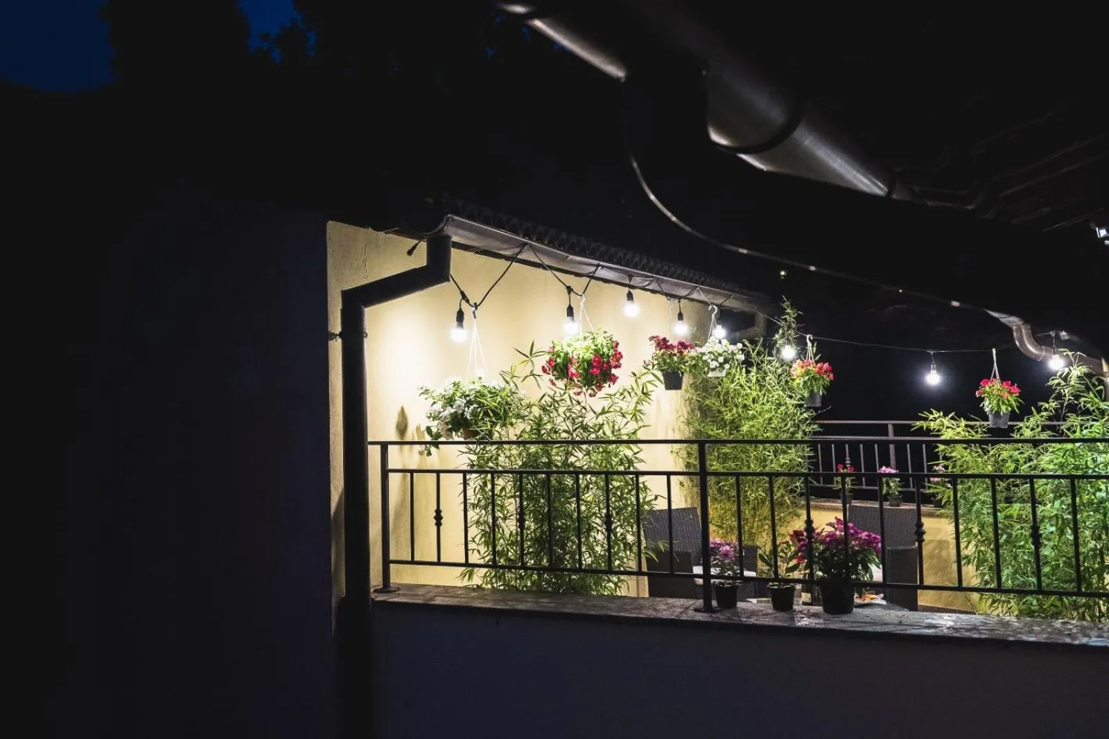 Garden in Le Undici Rose Hotel