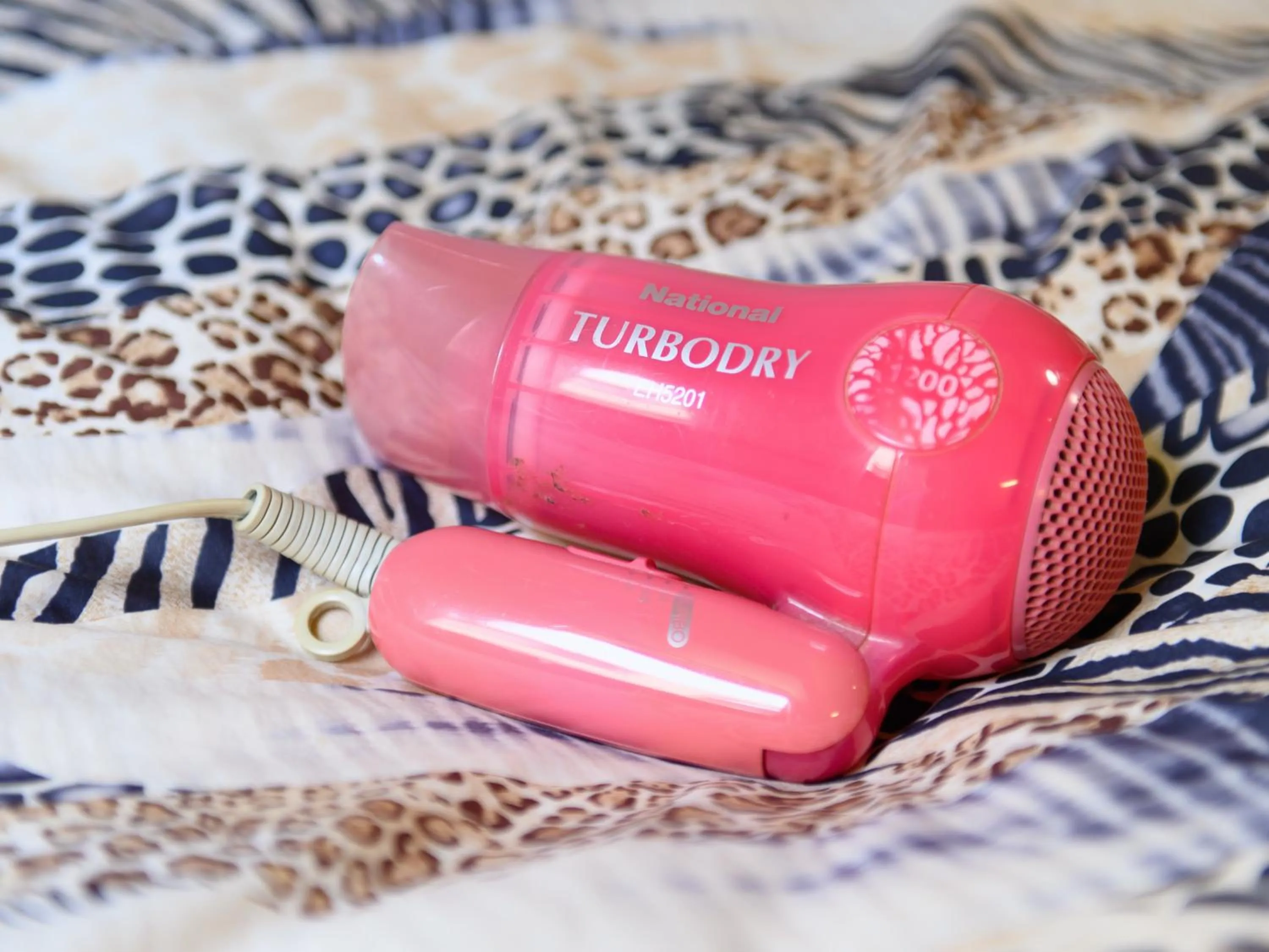 hair dryier in Tabist IWATA Station Hotel