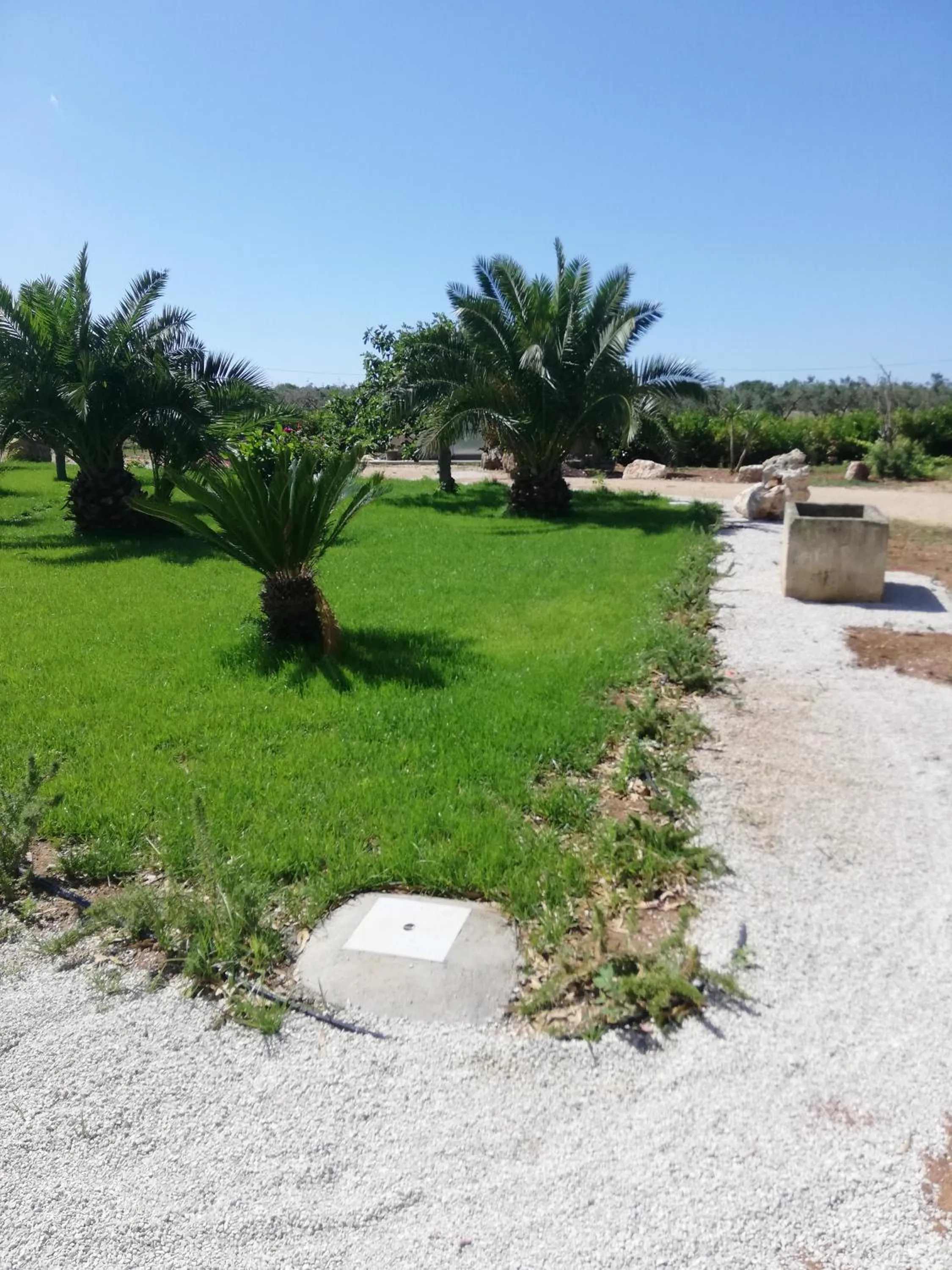Garden in Il giardino dei tramonti