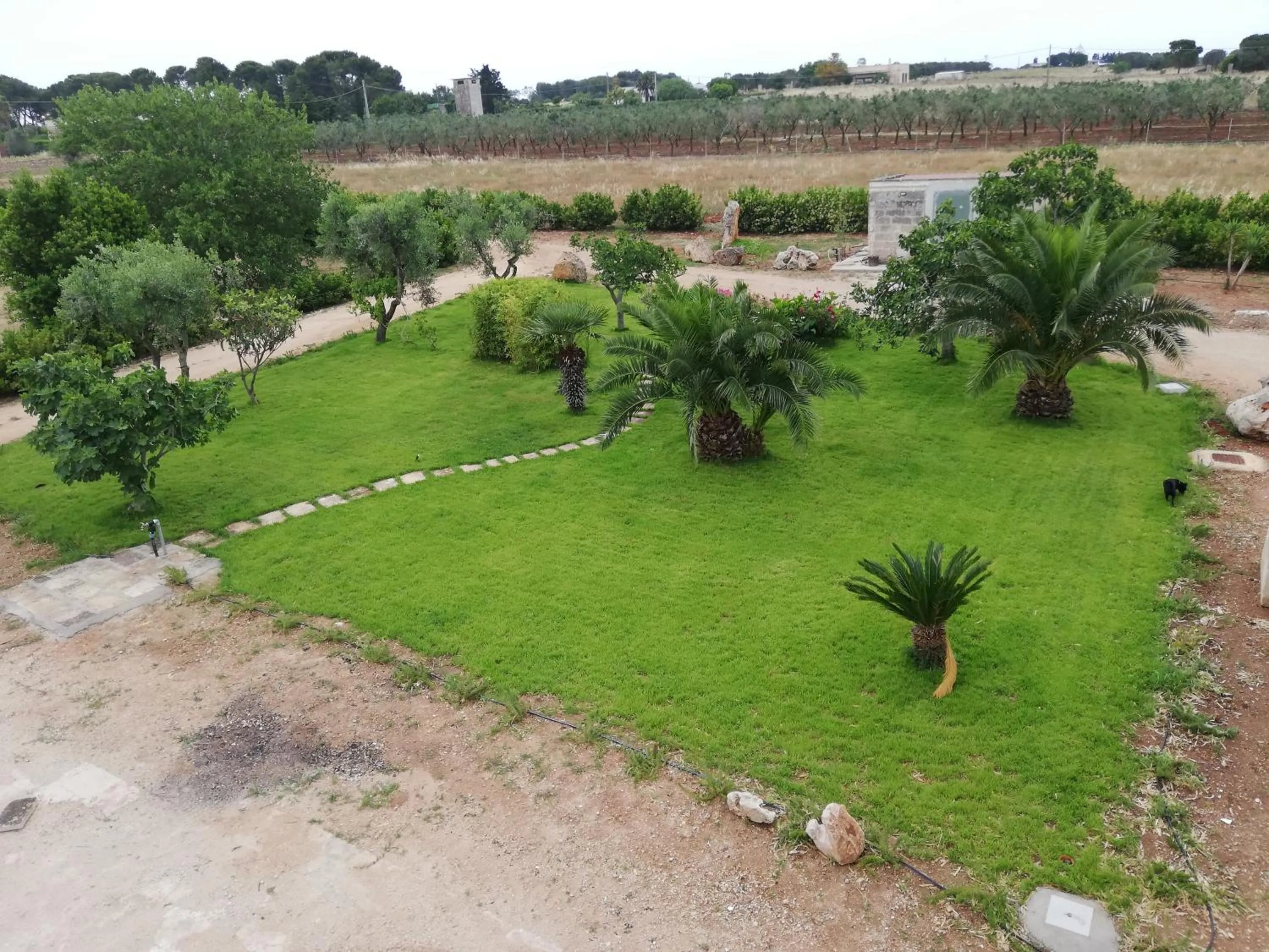 Garden view in Il giardino dei tramonti