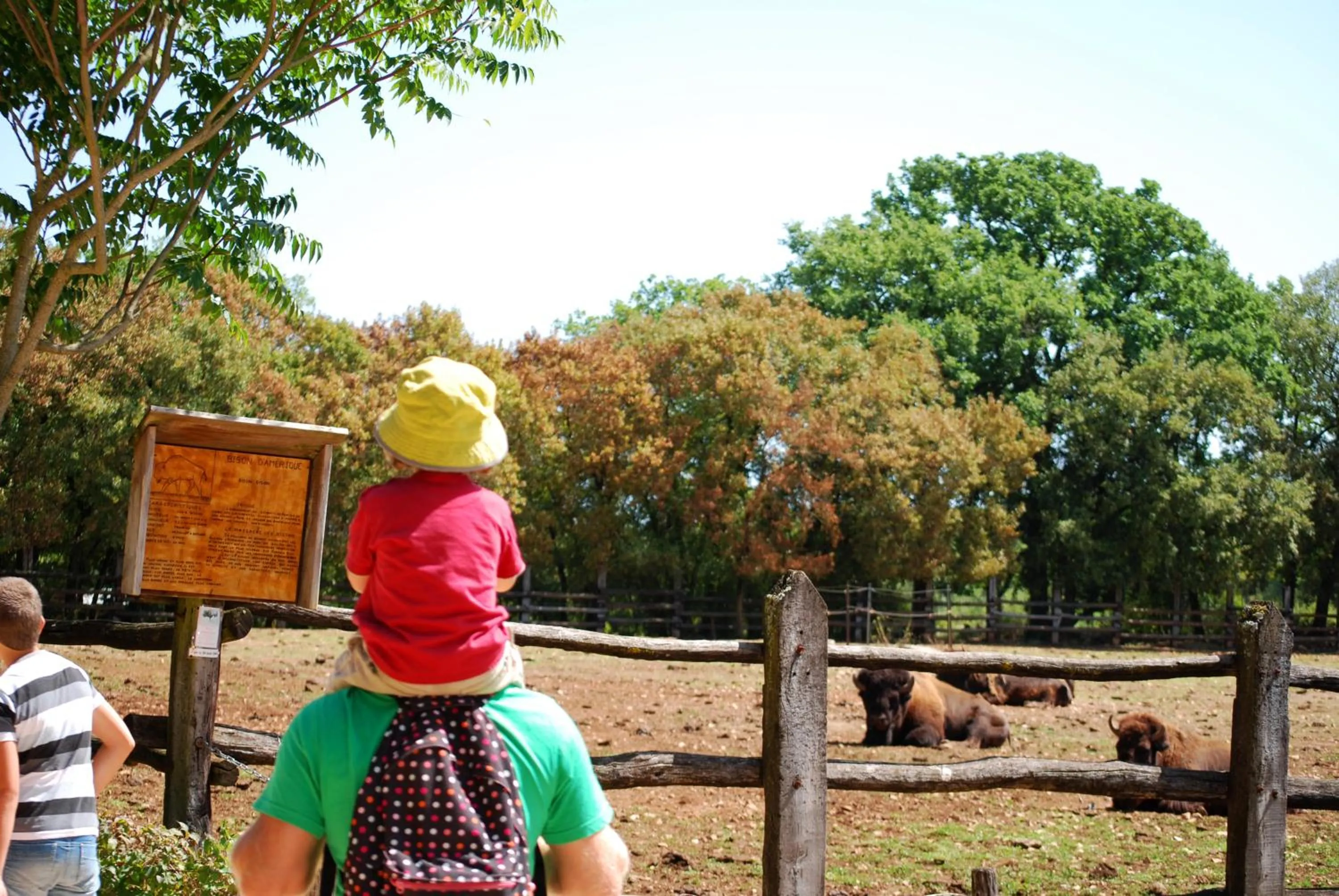 Entertainment in Lagrange Grand Bleu Vacances - Residence Les Ségalières