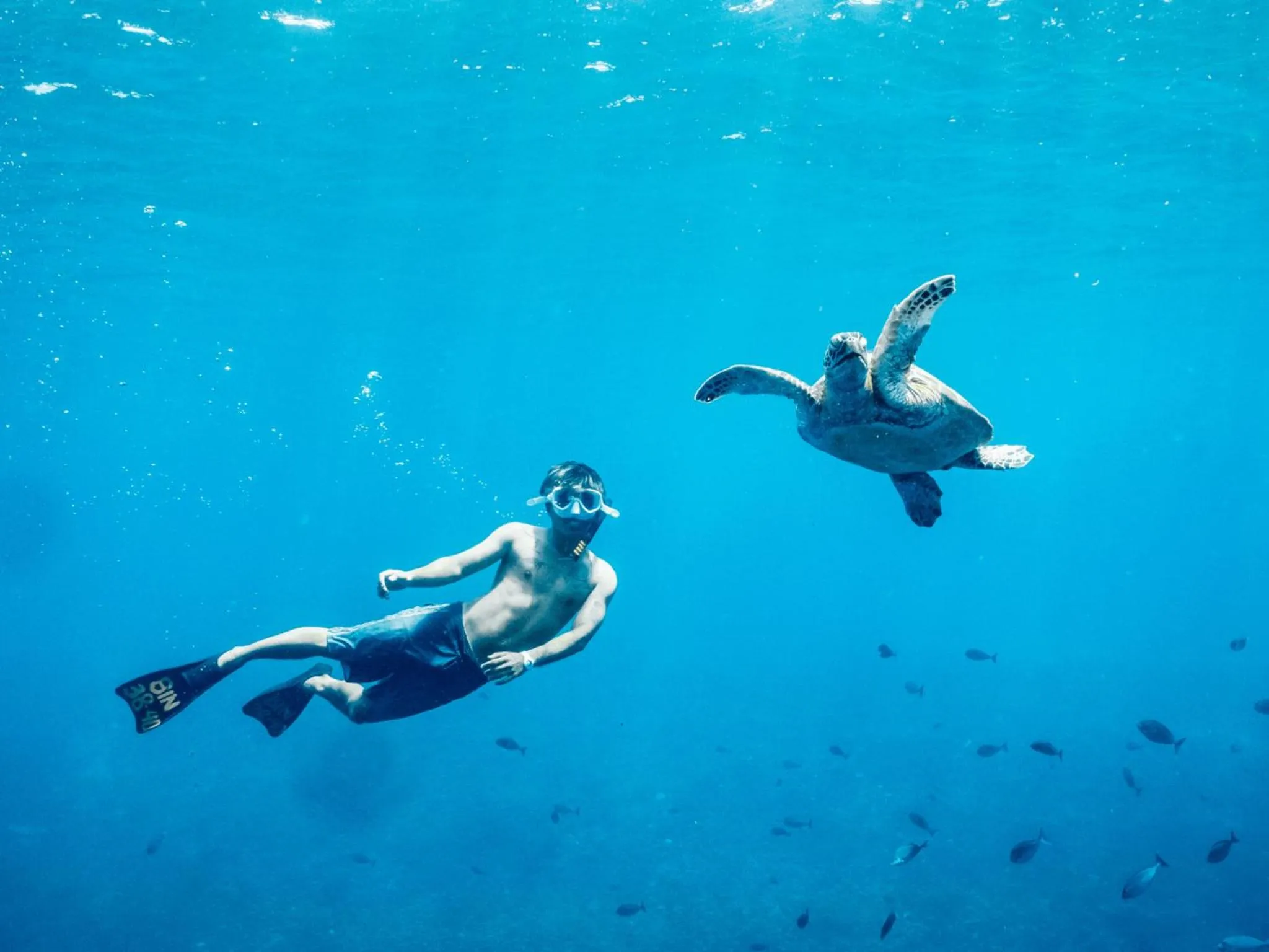 Activities in Mad Monkey Gili Trawangan