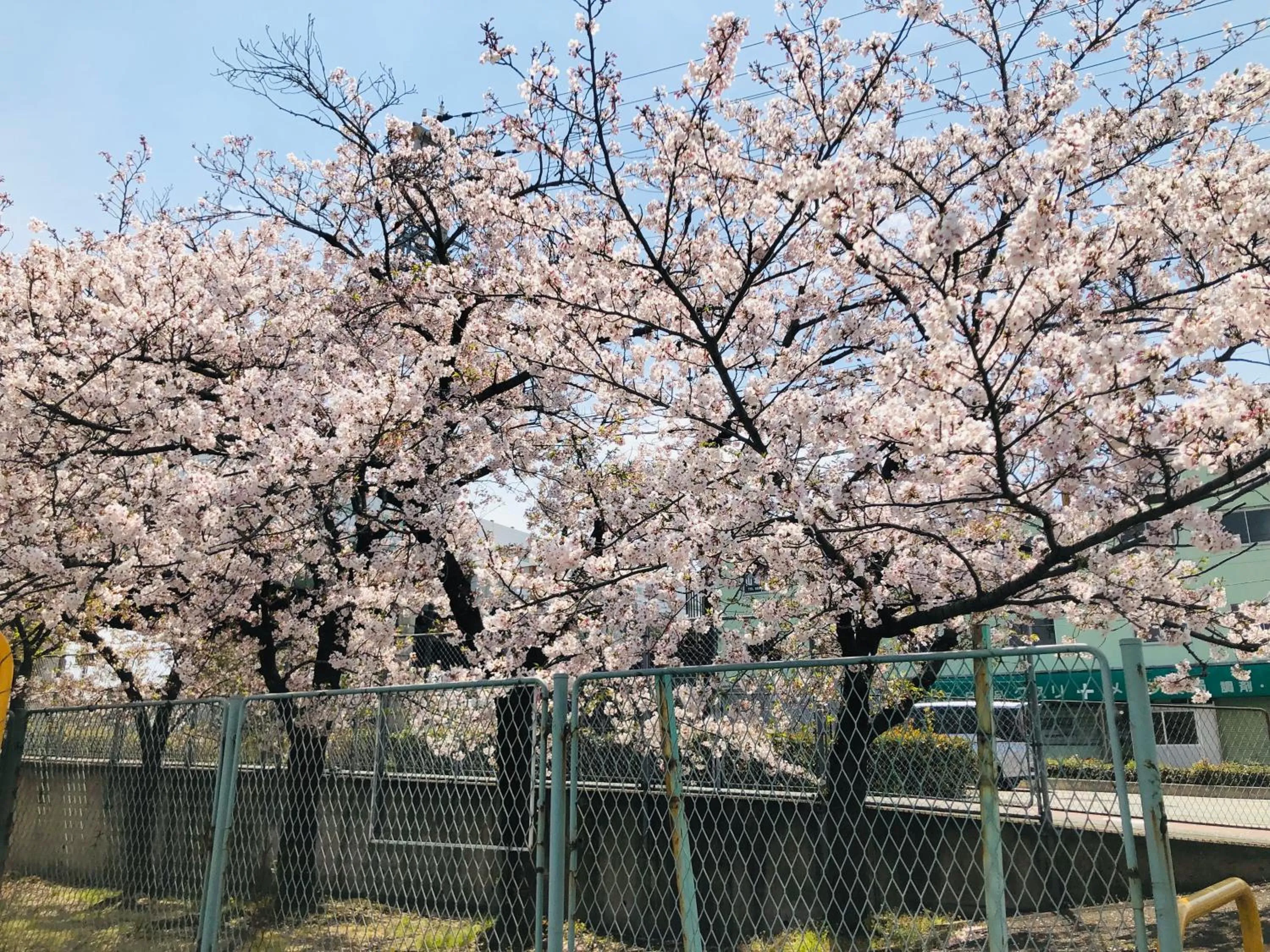 Nearby landmark in Masaru House