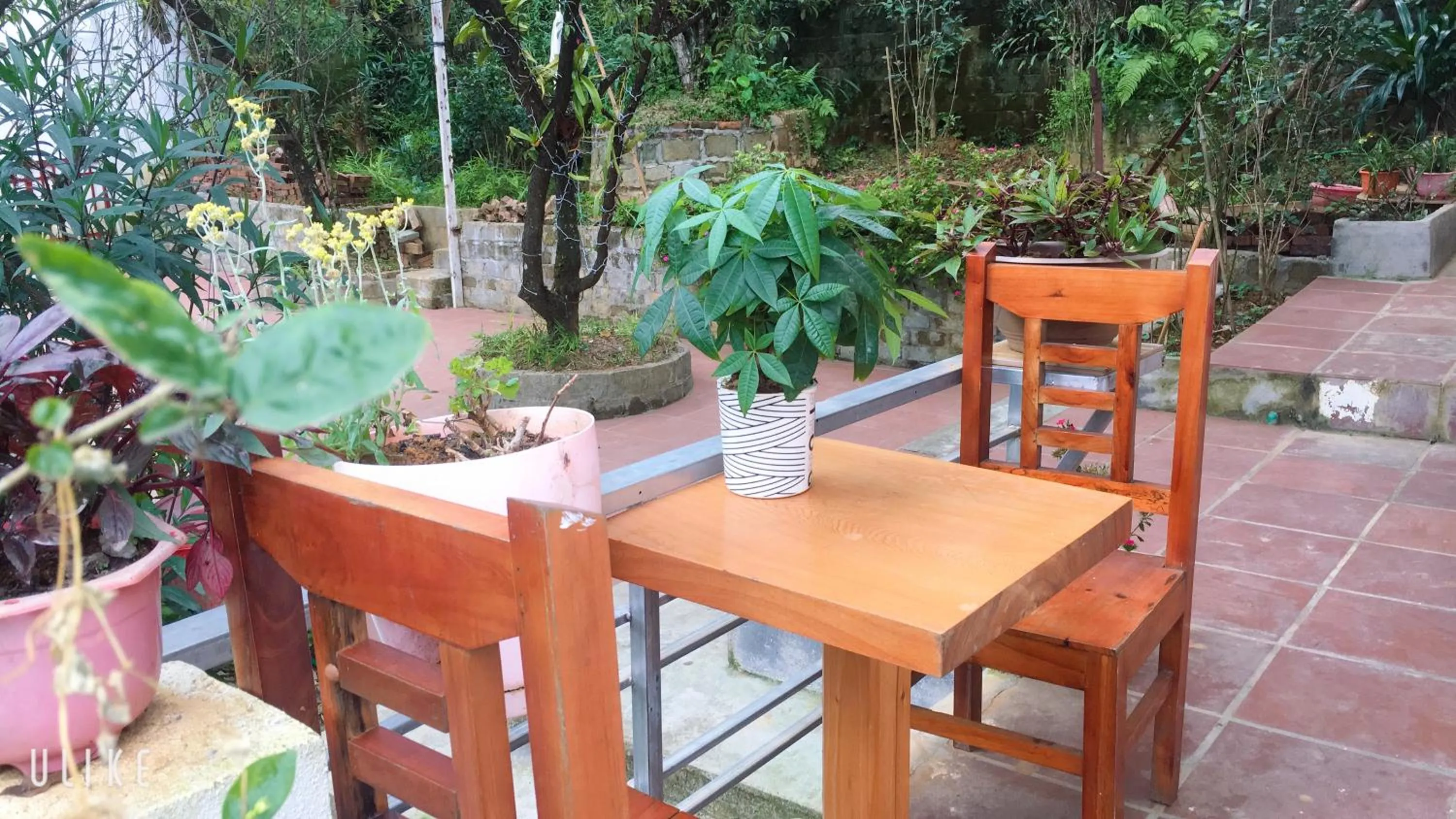 Balcony/Terrace in Dang Khoa Homestay