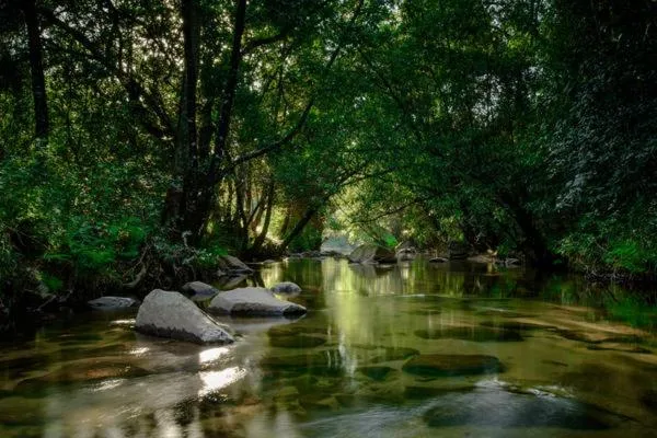 Property building in The Reserve Boutique Hotel