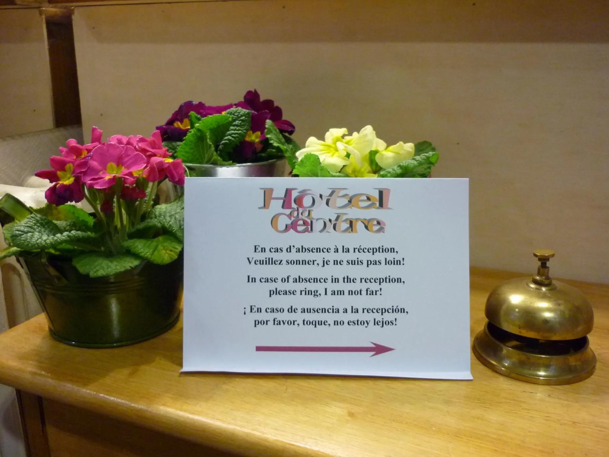 Property logo or sign in Hôtel du Centre